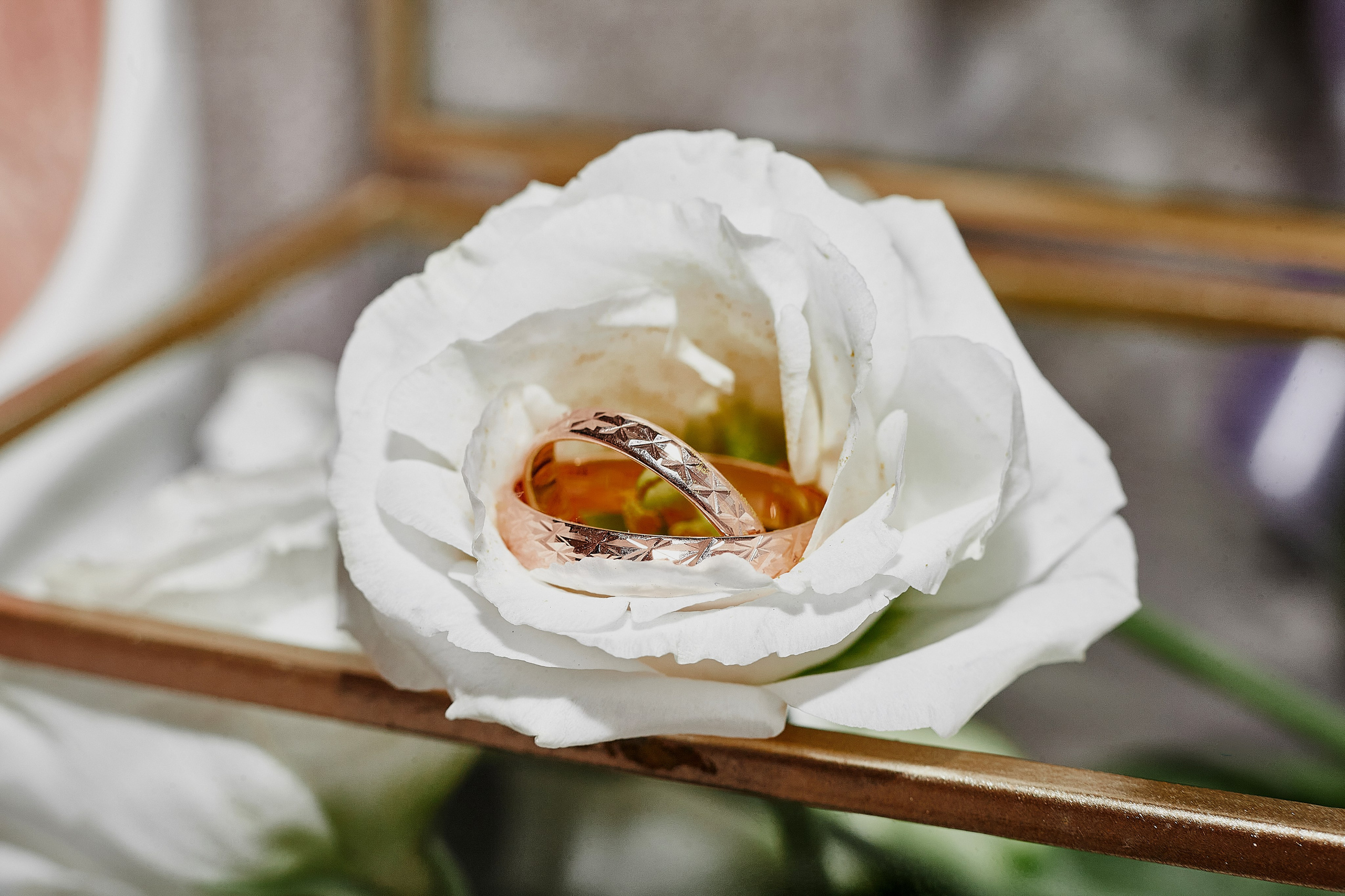 Свадебные. Свадебный фотограф Андрей Шмаргунов в Кирове