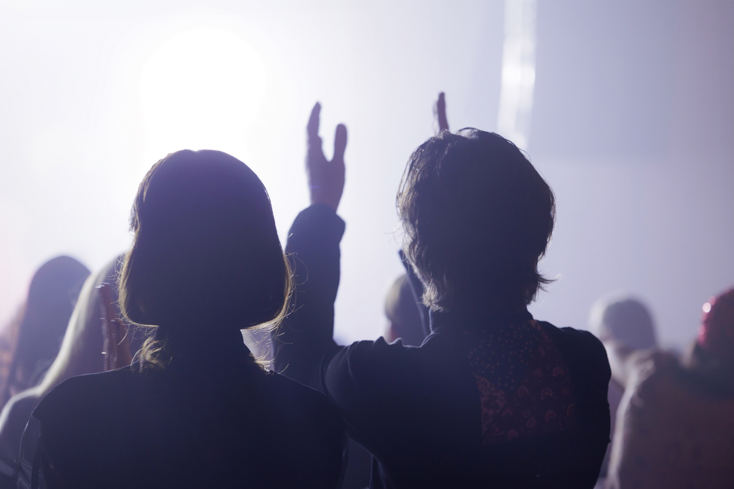 ЦВЕТЫ ГОЛЛАНДИИ. Свадебный фотограф Калининград