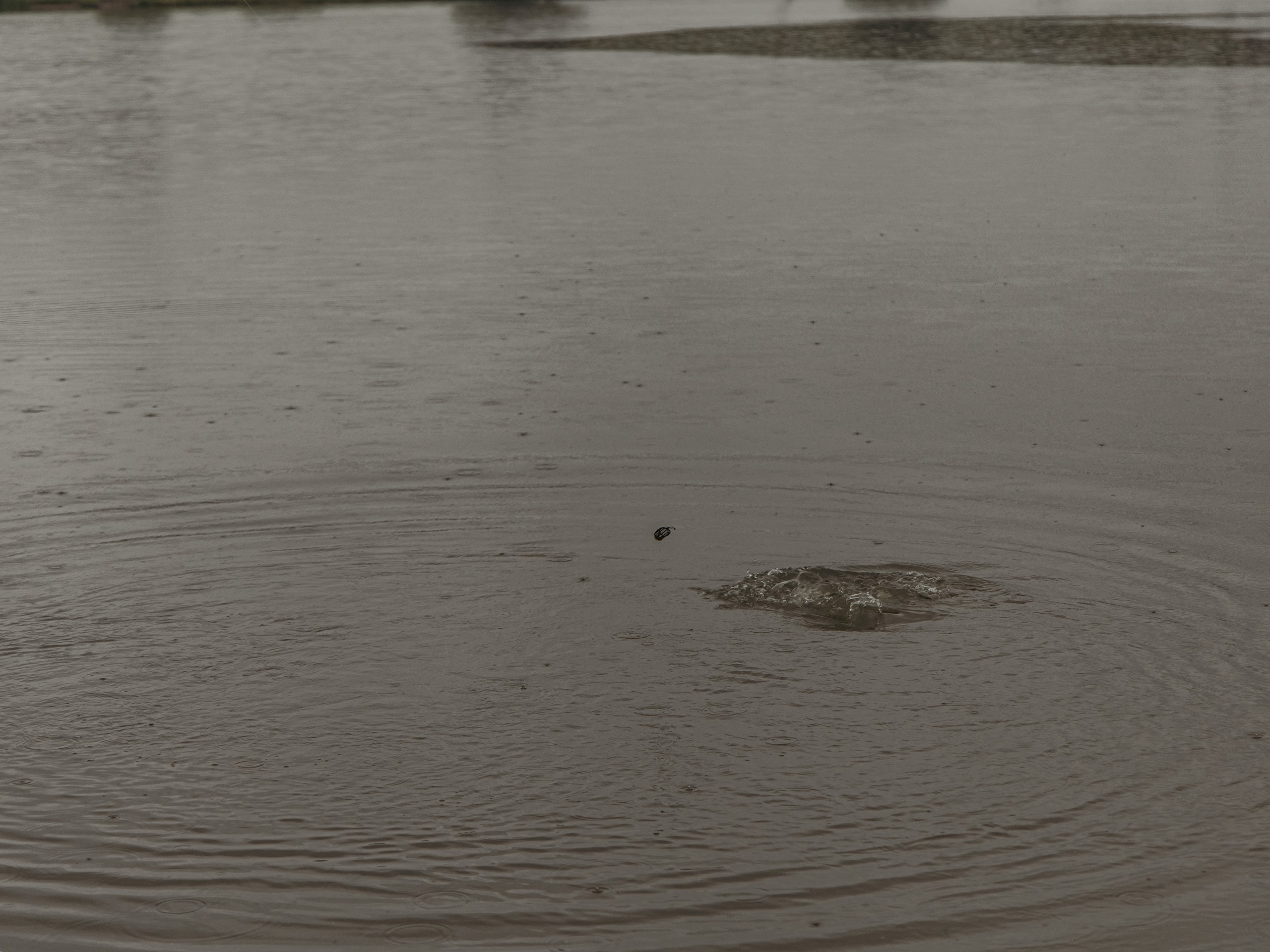Тихая заводь. Чеховский район. Фотограф для маркетплейсов, фотоуслуги в Жуковском Татьяна Марсуверских