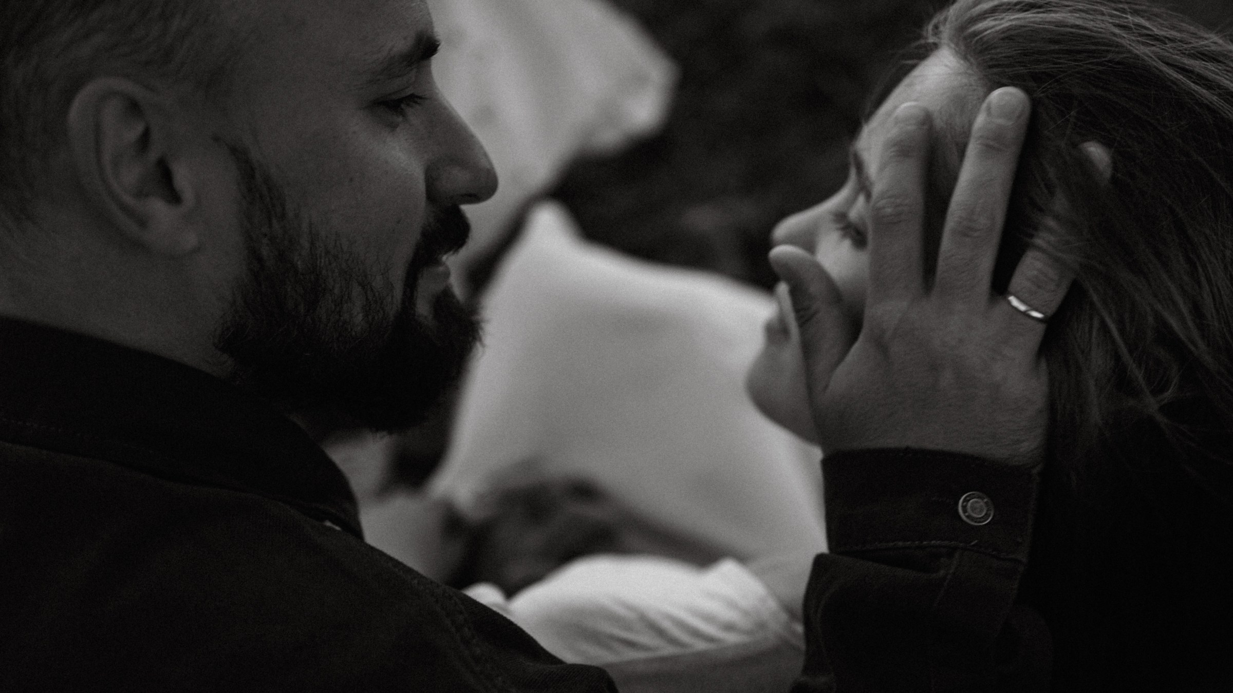 Дружелюбная овечка. Фотограф Daria Wilner