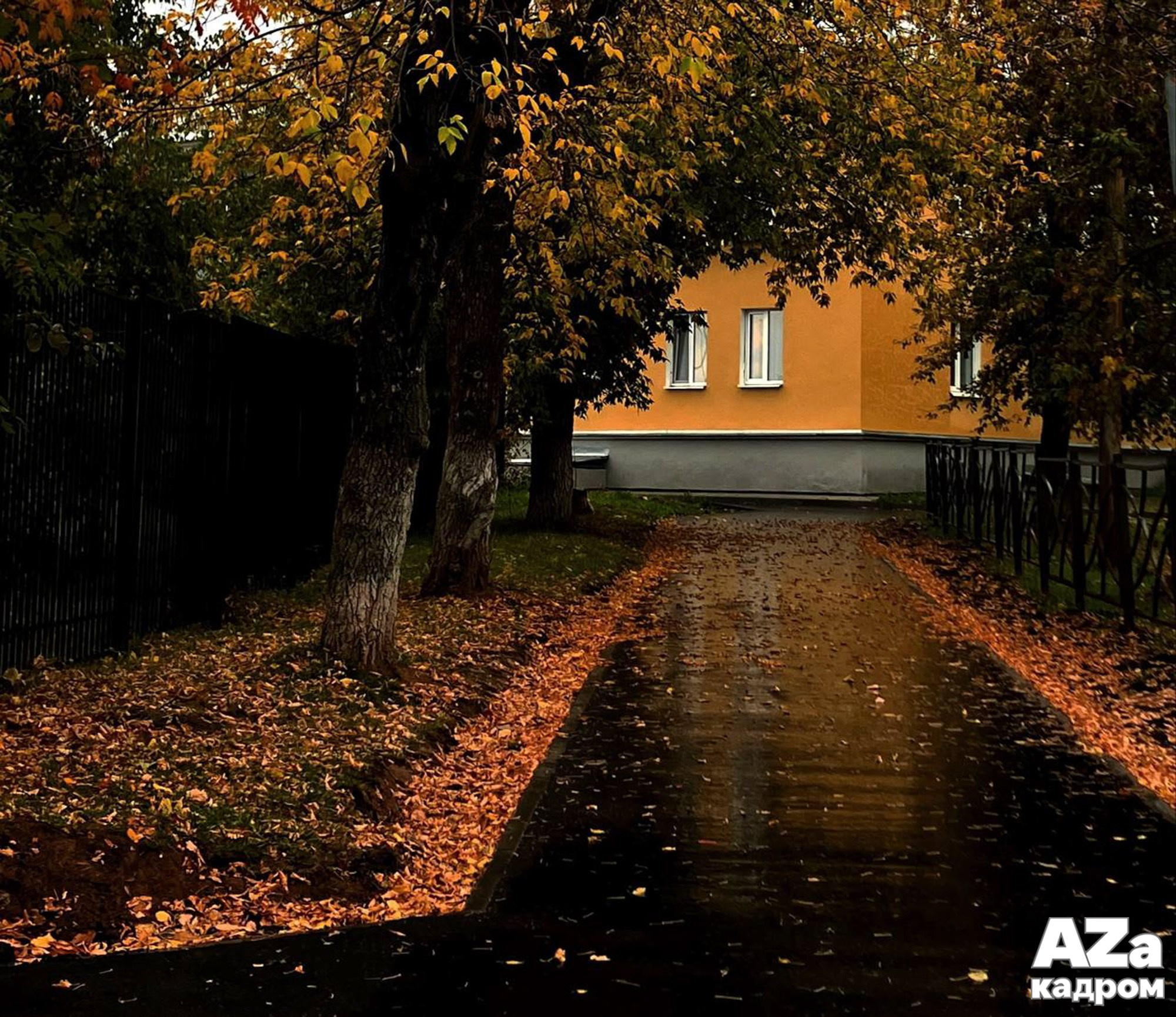 AZакадром «Рисуем осень»