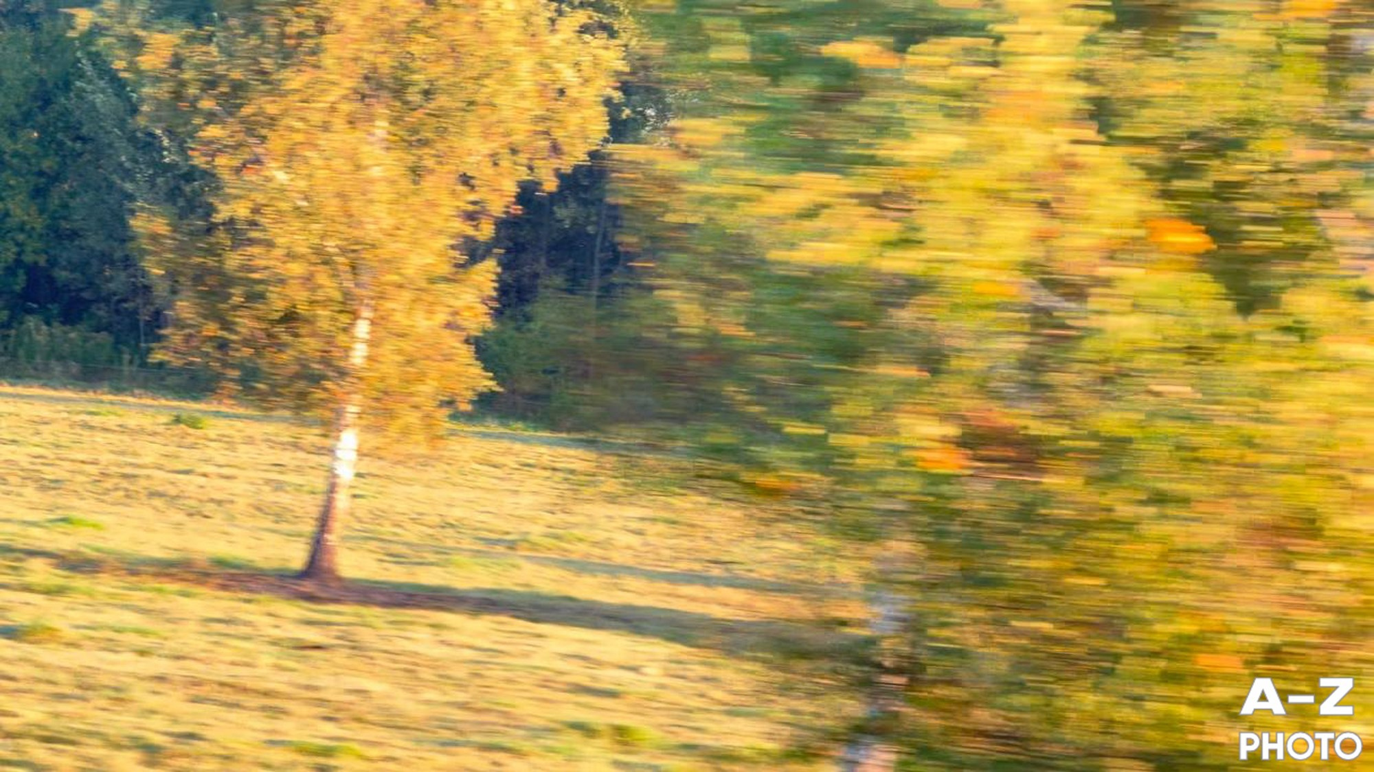 #ФОТОНЕДЕЛИ 19.10.2026