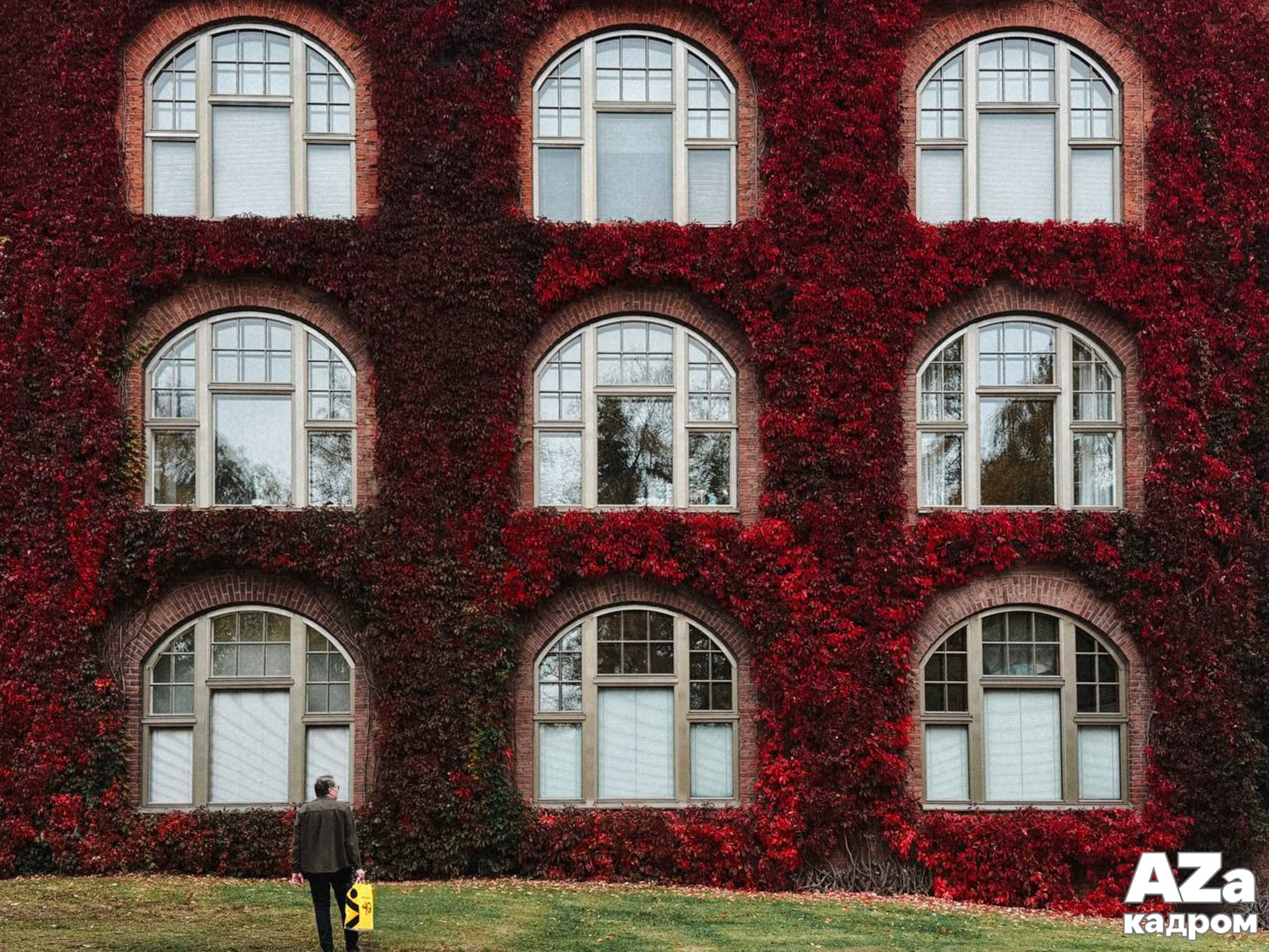 AZакадром «Рисуем осень»