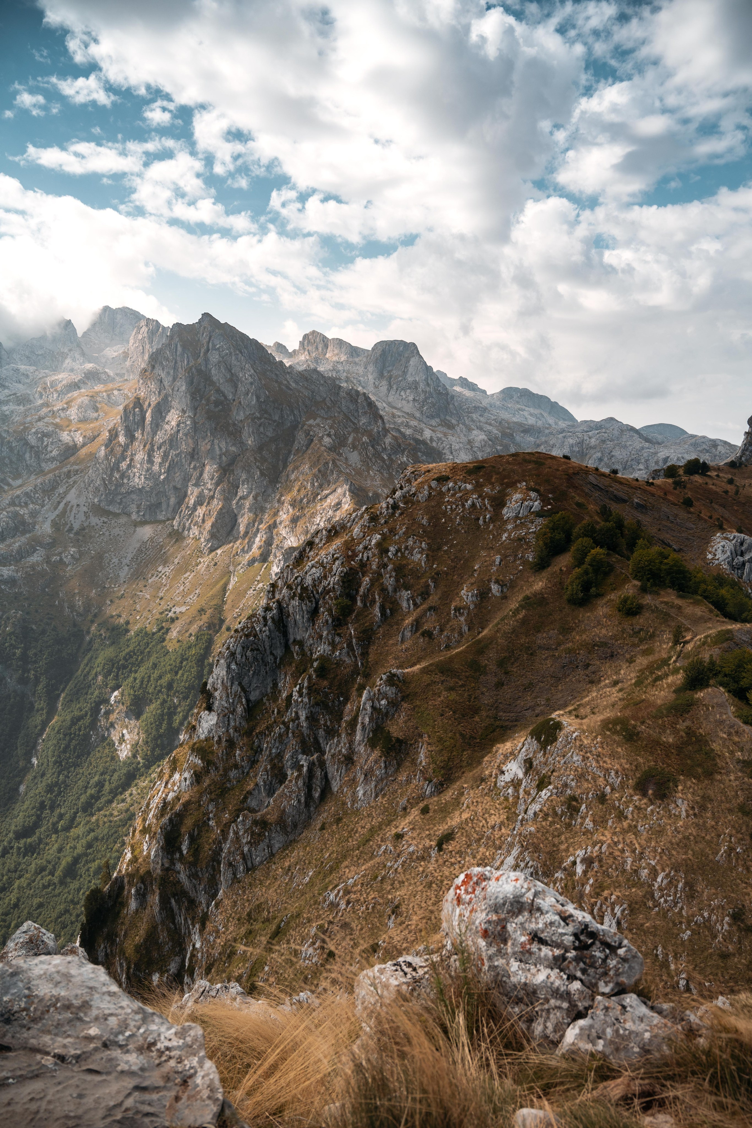 ДОЛИНА ГРЕБАЙЕ. ЧЕРНОГОРИЯ. Фотограф в Белграде Чугреева Елена