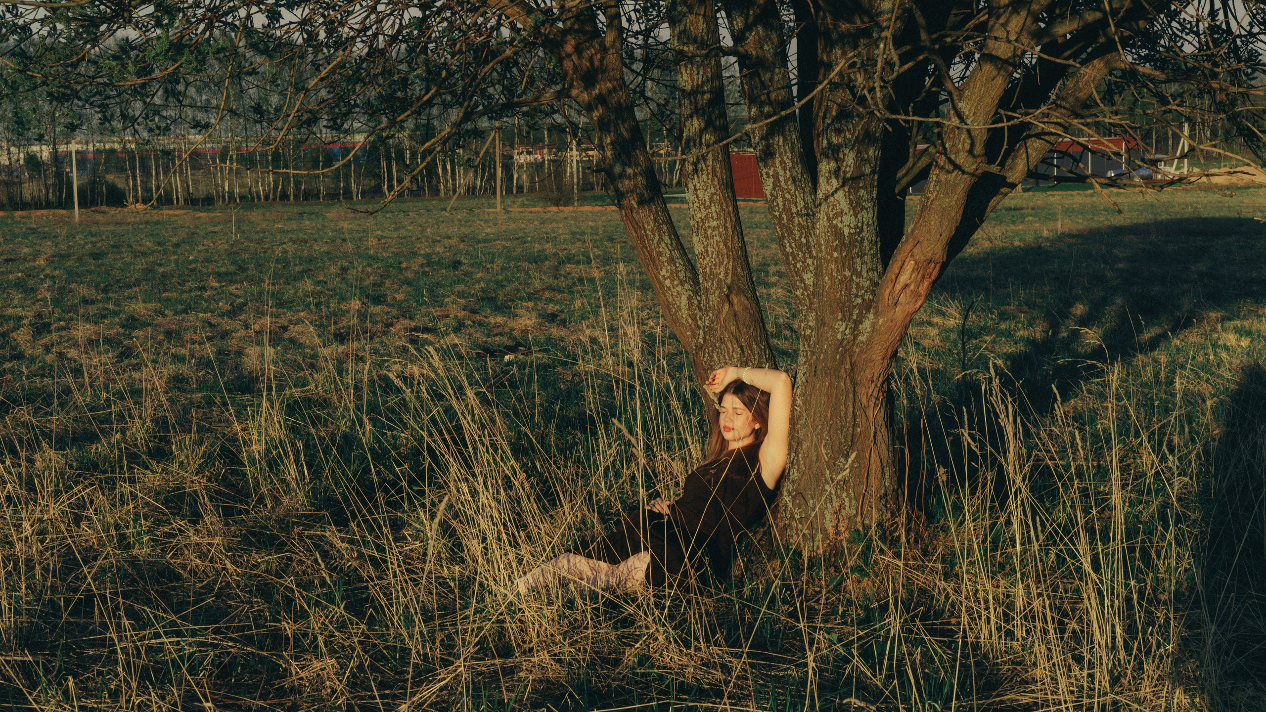 Garden. Sun Betty — кинофотограф Элизабет