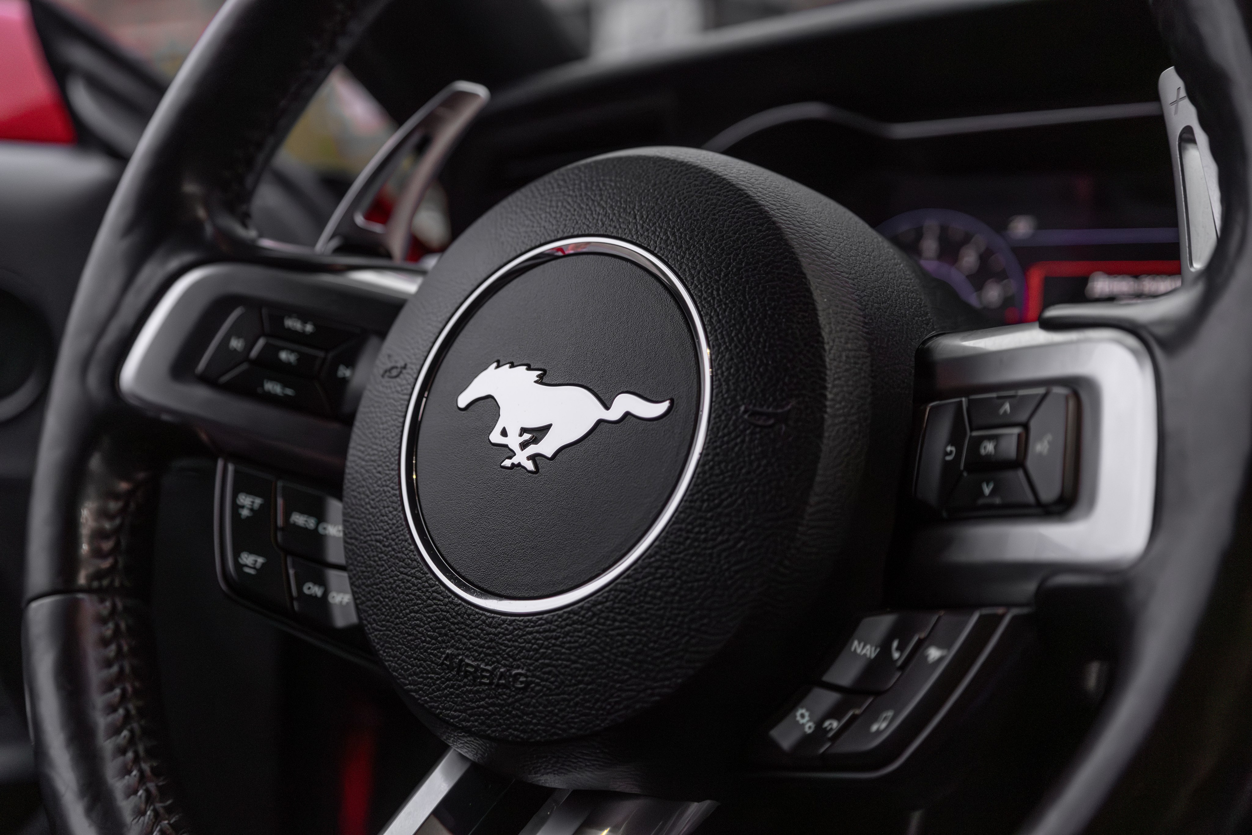 Mustang. Мелехов Дмитрий|Фотограф|Видеограф