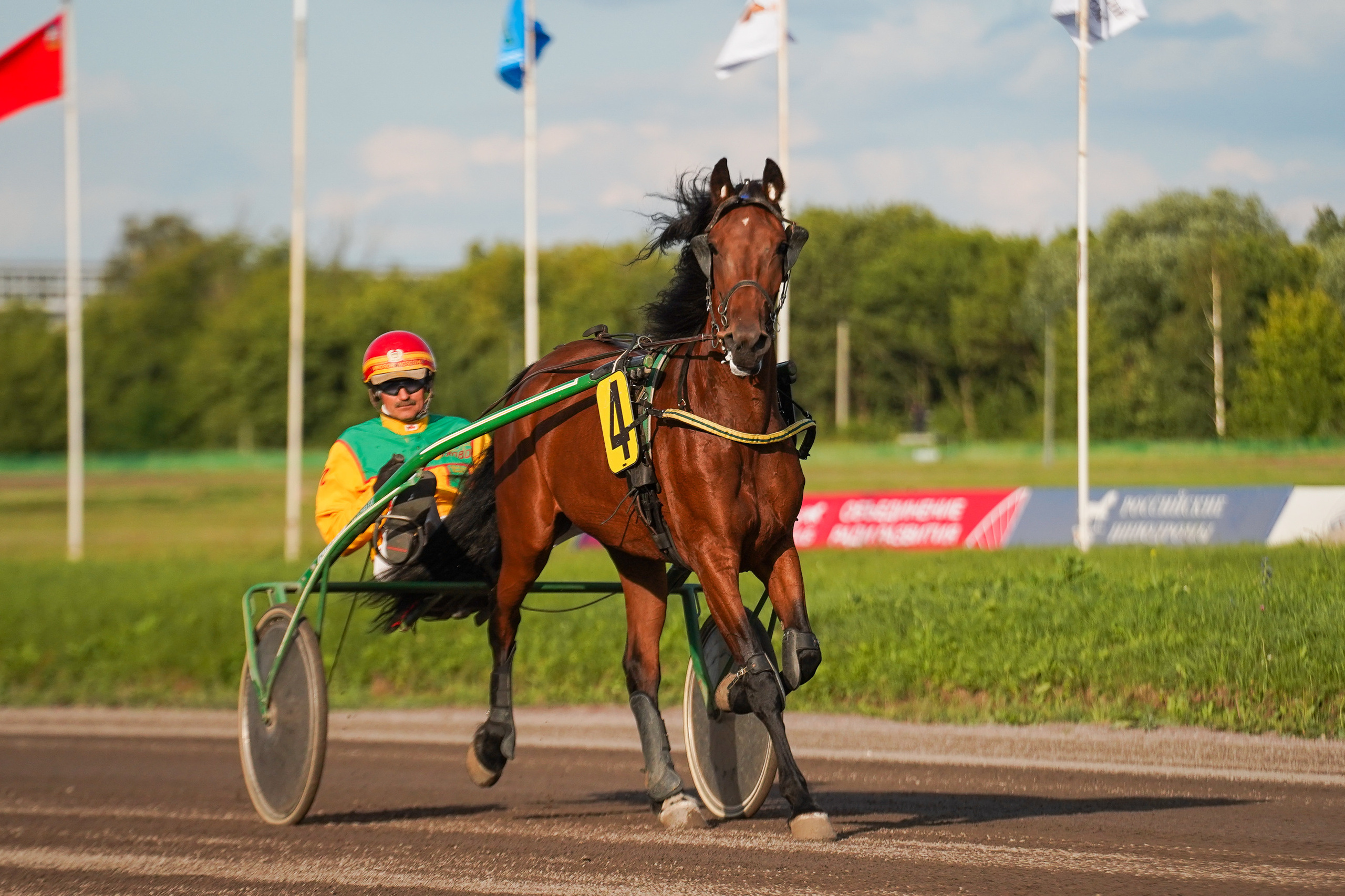 Праздник Орловского коннозаводства на Раменском ипподроме 22 июля 2023. Фотограф-анималист, портретный фотограф в Чебоксарах Мария Садыкова