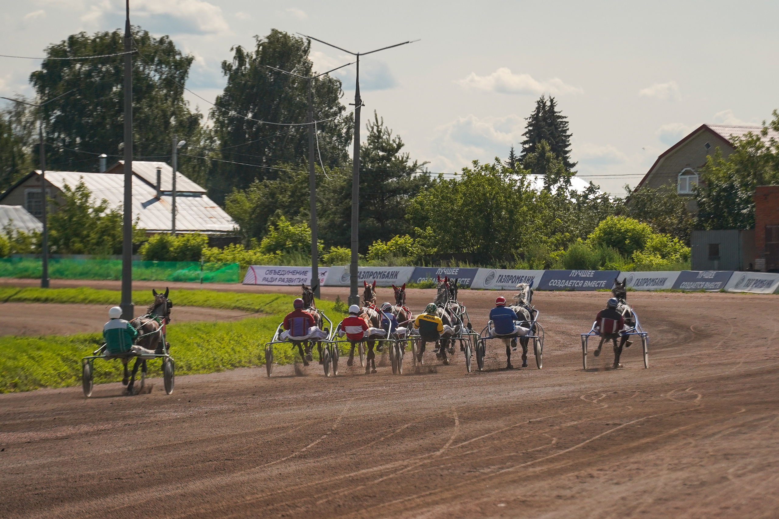 Праздник Орловского коннозаводства на Раменском ипподроме 22 июля 2023. Фотограф-анималист, портретный фотограф в Чебоксарах Мария Садыкова