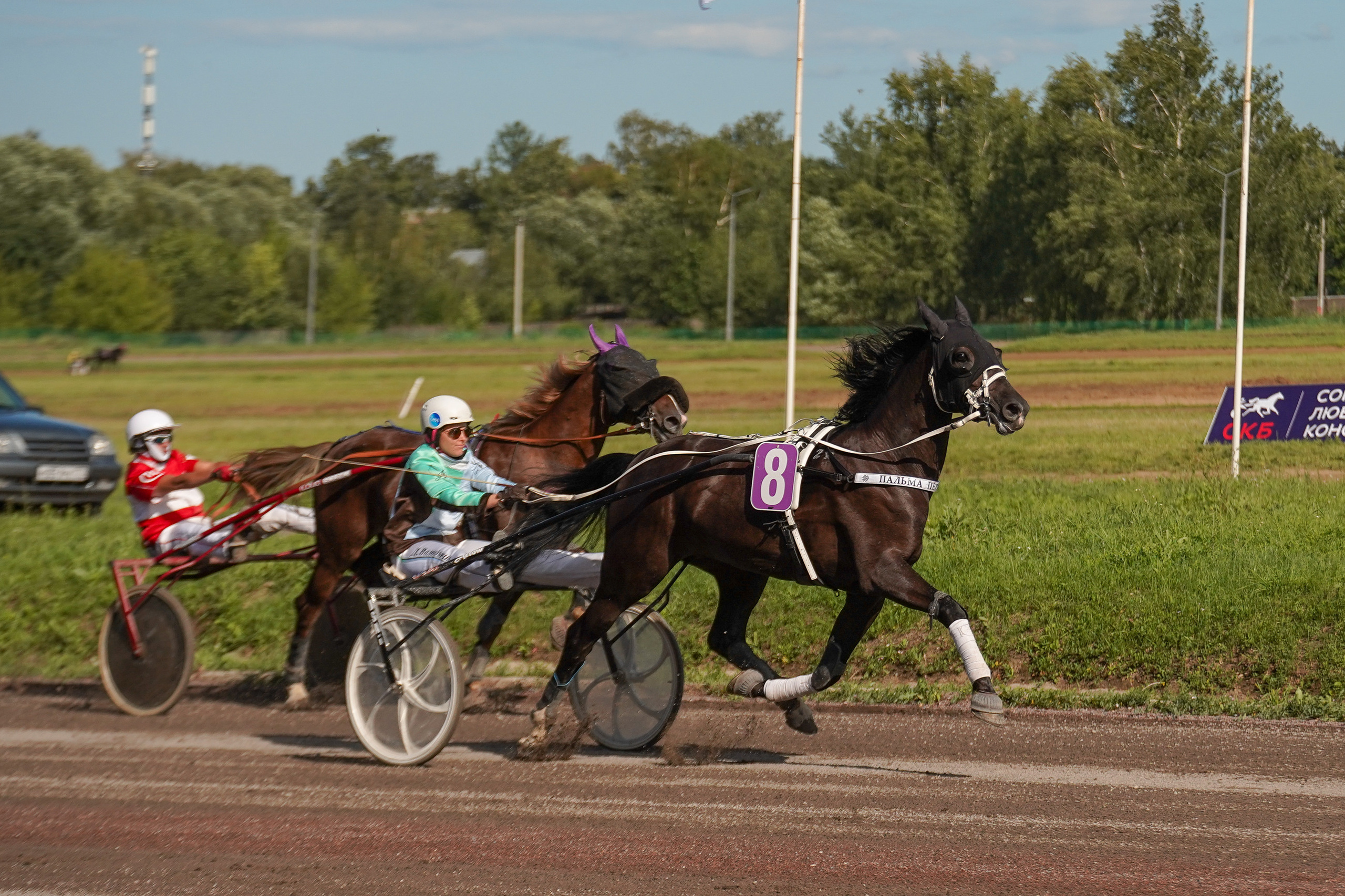 Праздник Орловского коннозаводства на Раменском ипподроме 22 июля 2023. Фотограф-анималист, портретный фотограф в Чебоксарах Мария Садыкова