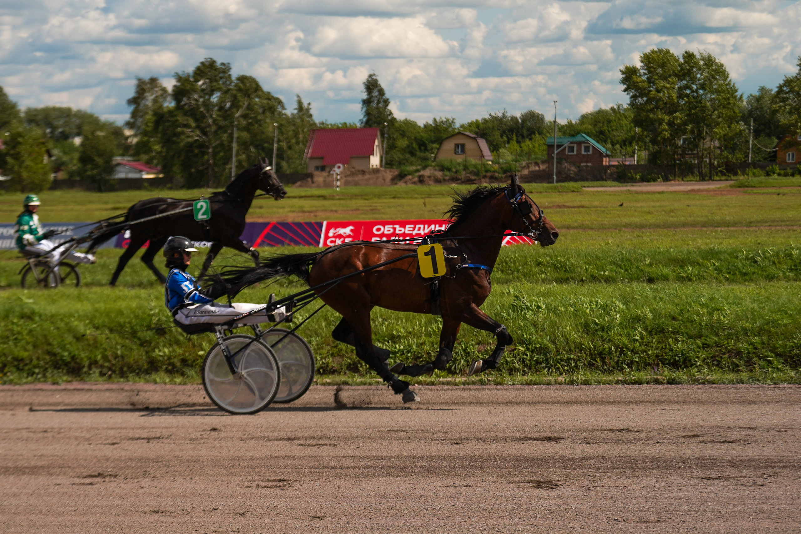 Праздник Орловского коннозаводства на Раменском ипподроме 22 июля 2023. Фотограф-анималист, портретный фотограф в Чебоксарах Мария Садыкова