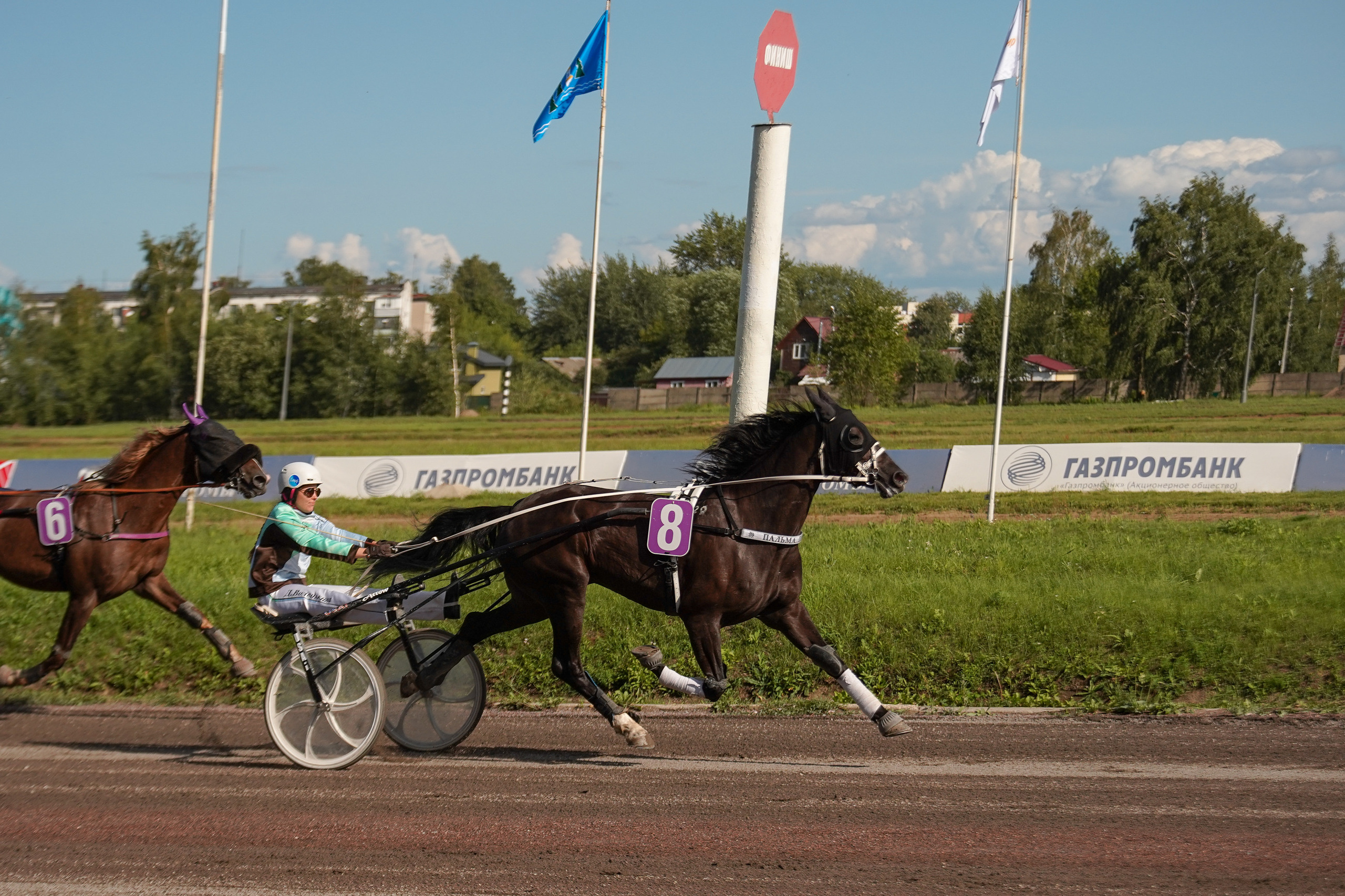 Праздник Орловского коннозаводства на Раменском ипподроме 22 июля 2023. Фотограф-анималист, портретный фотограф в Чебоксарах Мария Садыкова