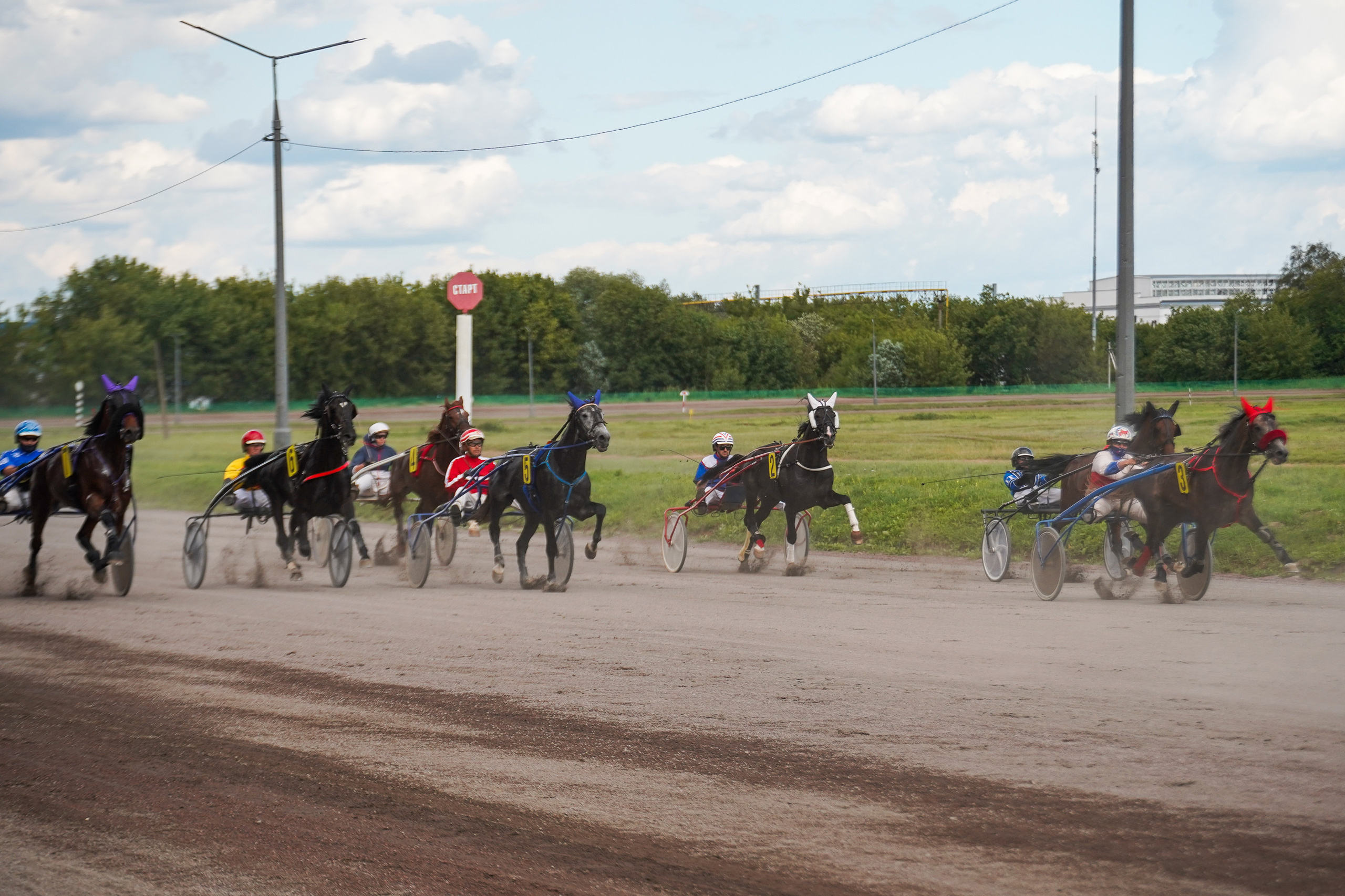 Праздник Орловского коннозаводства на Раменском ипподроме 22 июля 2023. Фотограф-анималист, портретный фотограф в Чебоксарах Мария Садыкова
