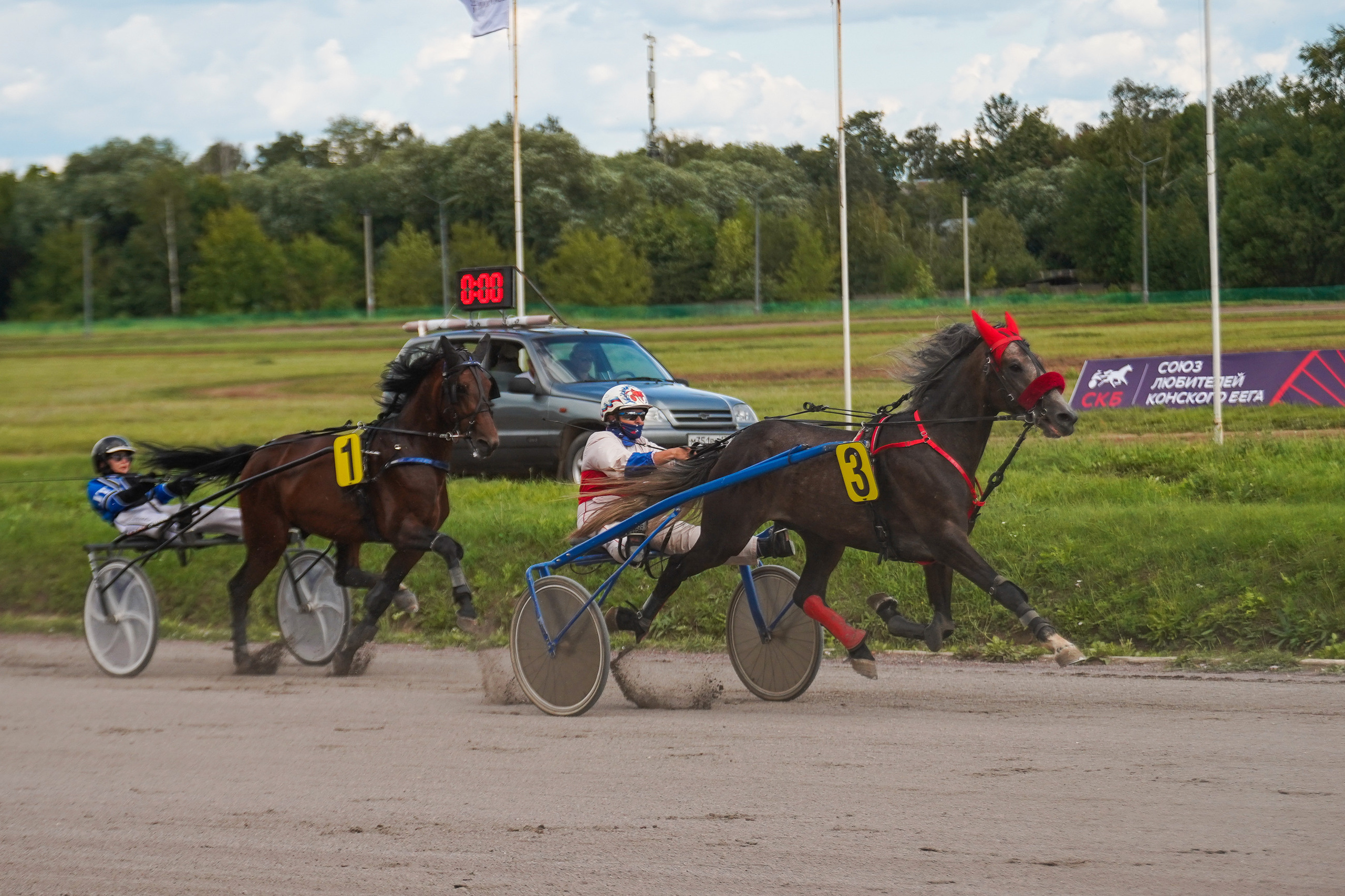 Праздник Орловского коннозаводства на Раменском ипподроме 22 июля 2023. Фотограф-анималист, портретный фотограф в Чебоксарах Мария Садыкова