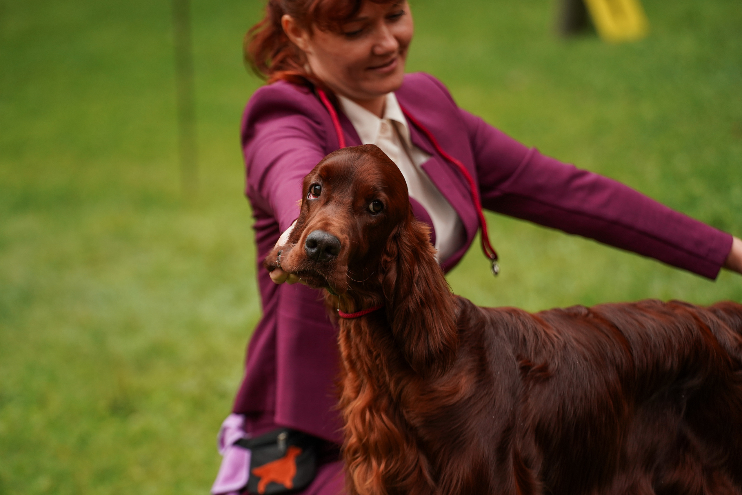 Выставки «СТОЛИЦА» и  «Лидер и Престиж» 23.07.2023. Фотограф-анималист, портретный фотограф в Чебоксарах Мария Садыкова