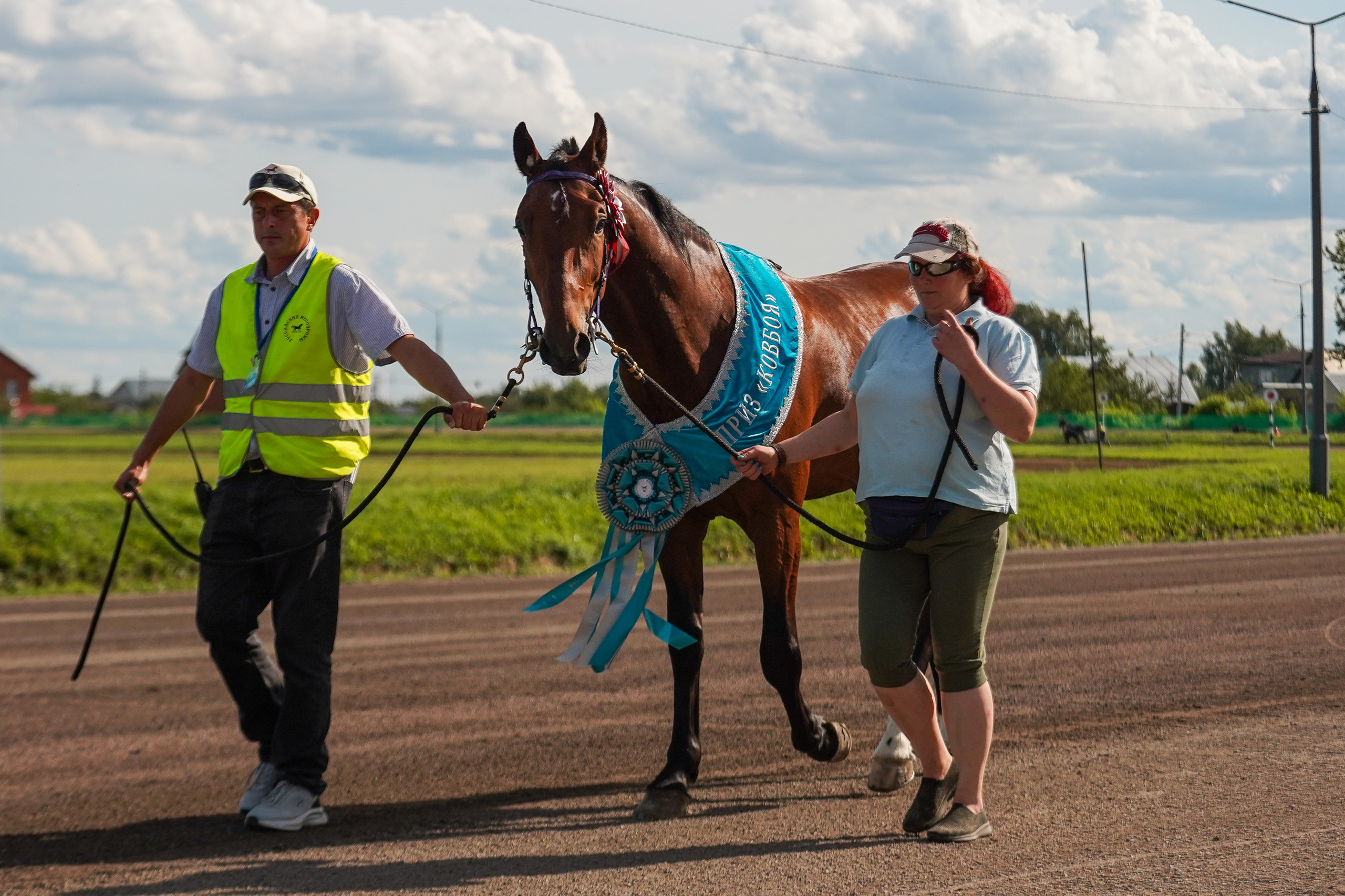 Праздник Орловского коннозаводства на Раменском ипподроме 22 июля 2023. Фотограф-анималист, портретный фотограф в Чебоксарах Мария Садыкова