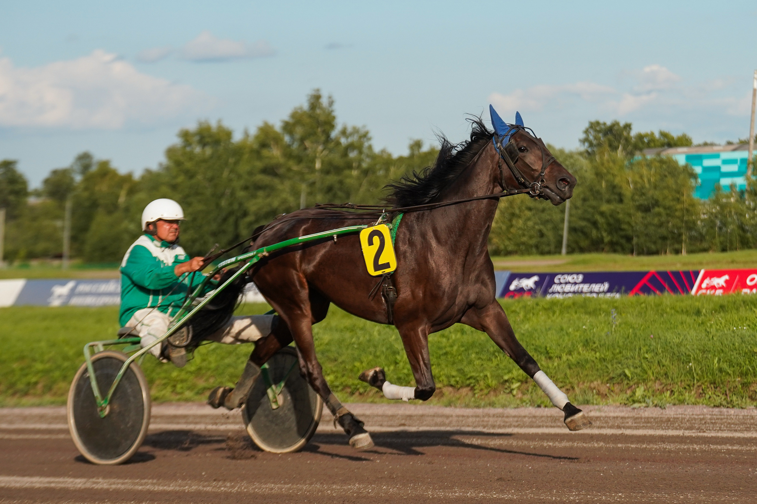 Праздник Орловского коннозаводства на Раменском ипподроме 22 июля 2023. Фотограф-анималист, портретный фотограф в Чебоксарах Мария Садыкова