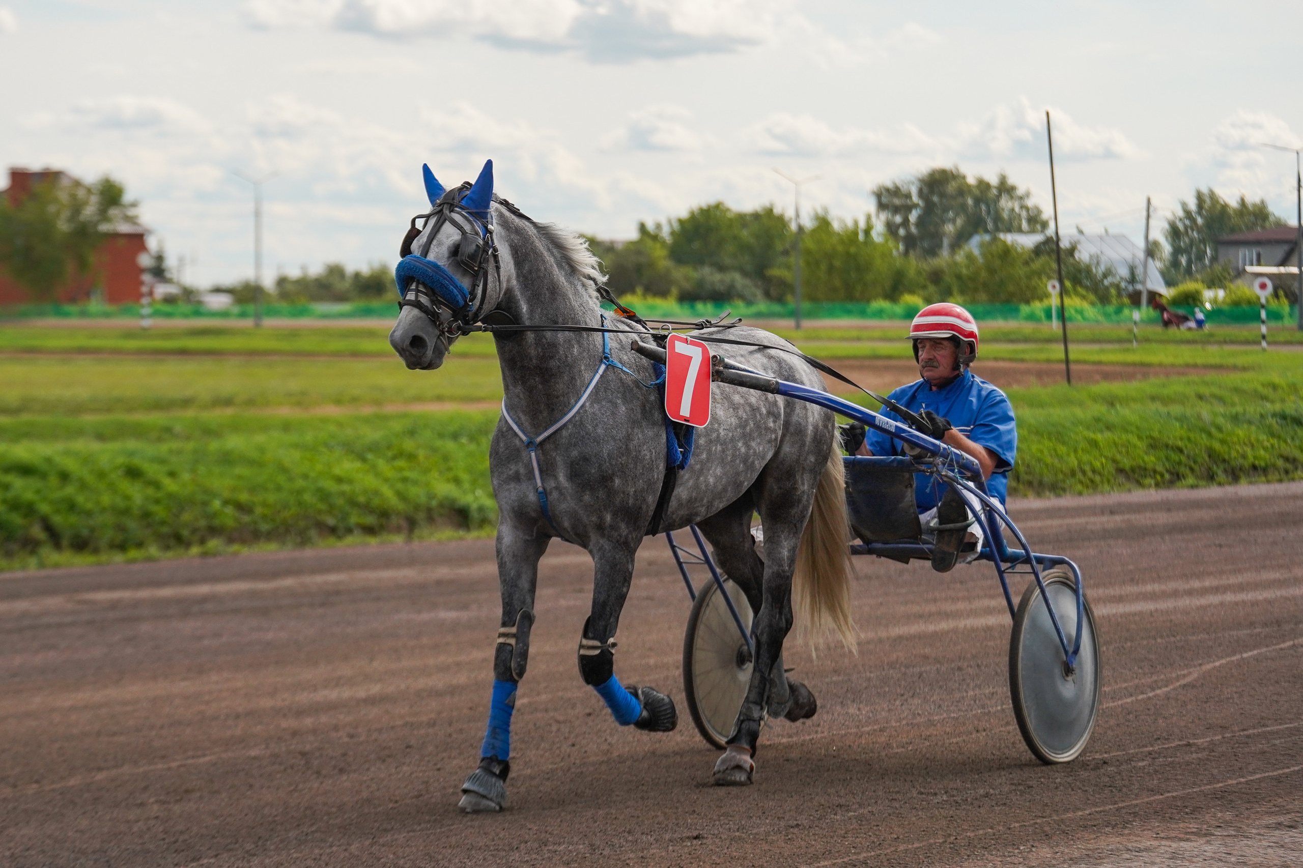 Праздник Орловского коннозаводства на Раменском ипподроме 22 июля 2023. Фотограф-анималист, портретный фотограф в Чебоксарах Мария Садыкова