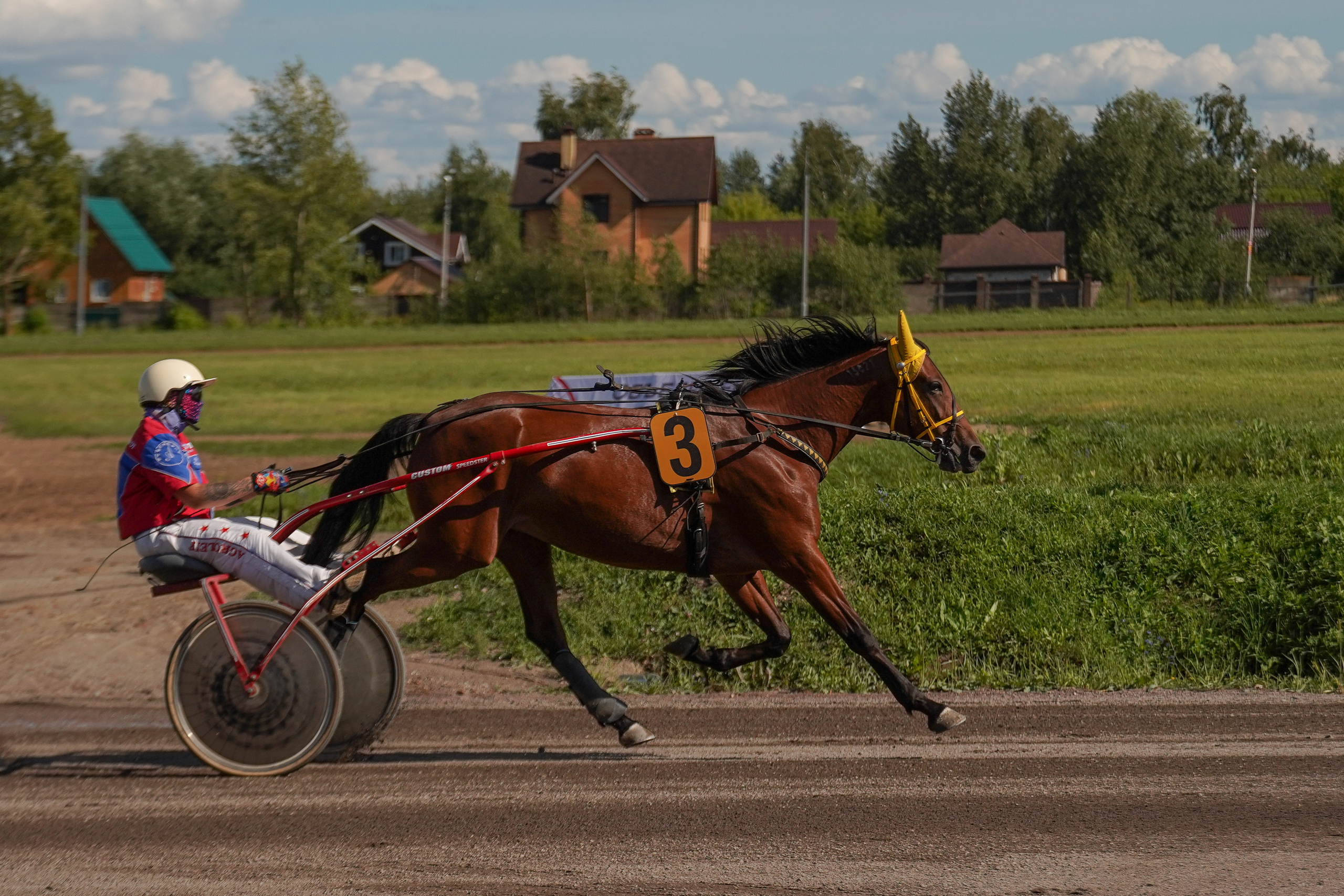Праздник Орловского коннозаводства на Раменском ипподроме 22 июля 2023. Фотограф-анималист, портретный фотограф в Чебоксарах Мария Садыкова