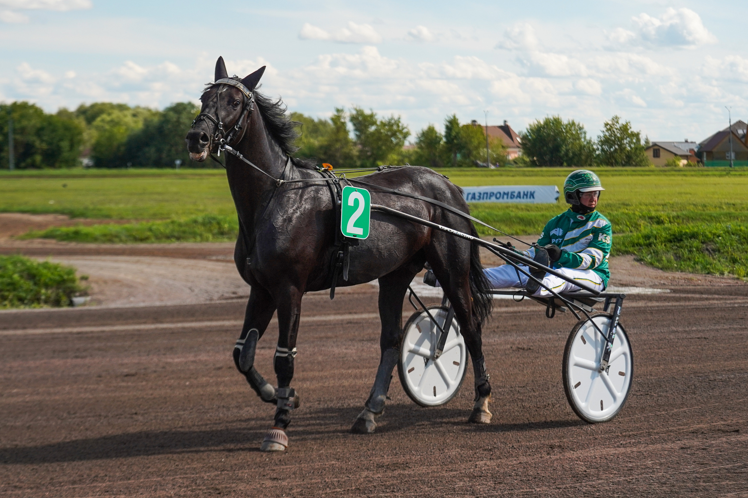 Праздник Орловского коннозаводства на Раменском ипподроме 22 июля 2023. Фотограф-анималист, портретный фотограф в Чебоксарах Мария Садыкова
