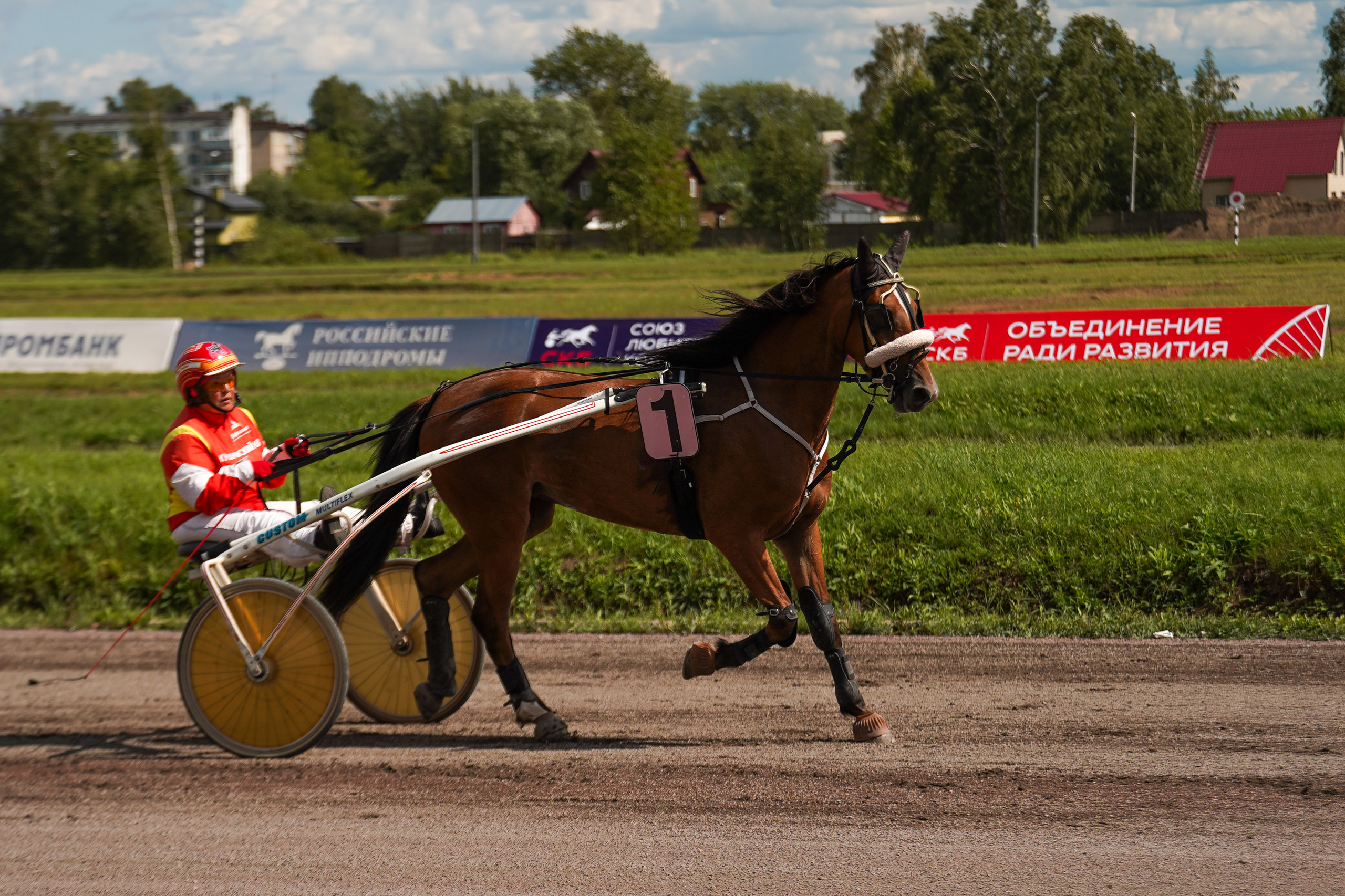 Праздник Орловского коннозаводства на Раменском ипподроме 22 июля 2023. Фотограф-анималист, портретный фотограф в Чебоксарах Мария Садыкова