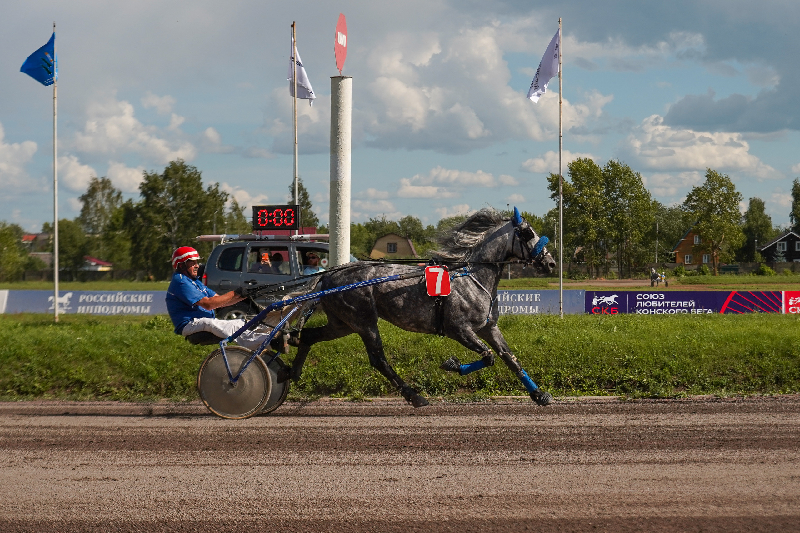 Праздник Орловского коннозаводства на Раменском ипподроме 22 июля 2023. Фотограф-анималист, портретный фотограф в Чебоксарах Мария Садыкова