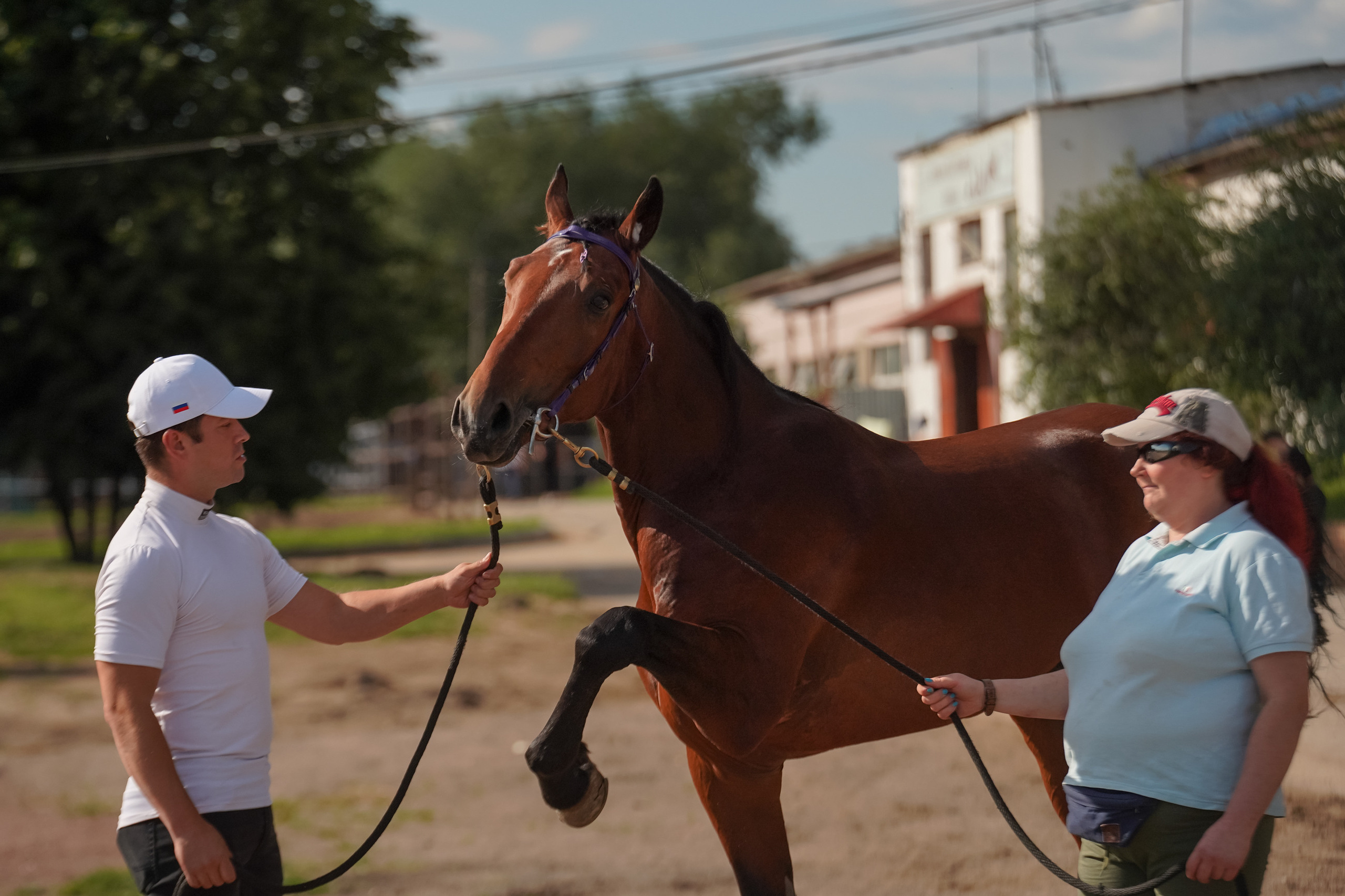 Праздник Орловского коннозаводства на Раменском ипподроме 22 июля 2023. Фотограф-анималист, портретный фотограф в Чебоксарах Мария Садыкова