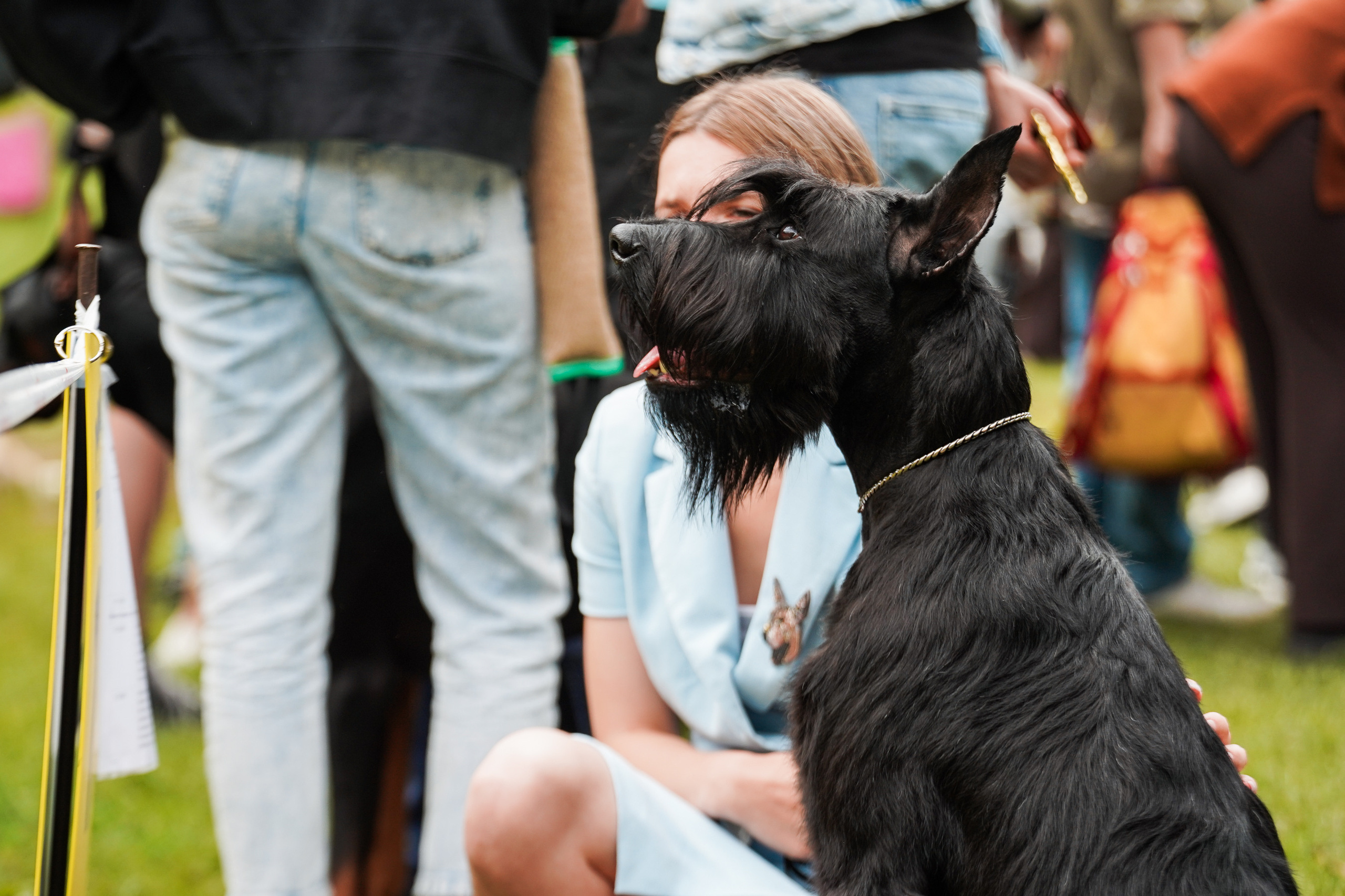 Выставки «СТОЛИЦА» и  «Лидер и Престиж» 23.07.2023. Фотограф-анималист, портретный фотограф в Чебоксарах Мария Садыкова