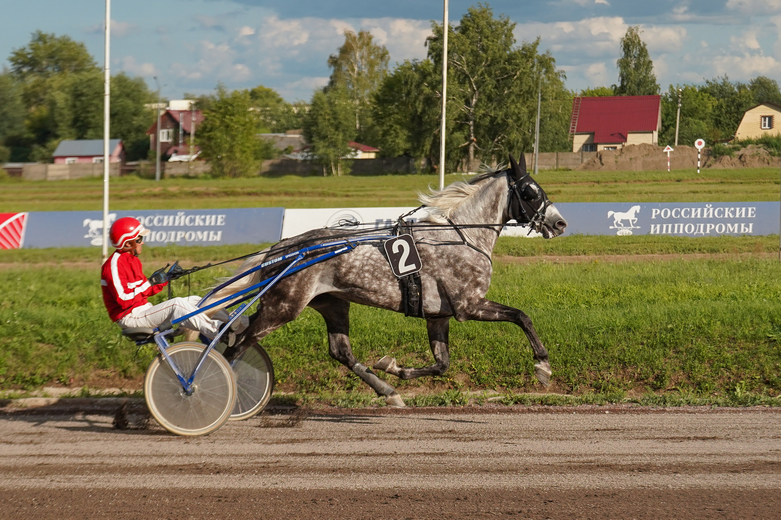 Праздник Орловского коннозаводства на Раменском ипподроме 22 июля 2023. Фотограф-анималист, портретный фотограф в Чебоксарах Мария Садыкова