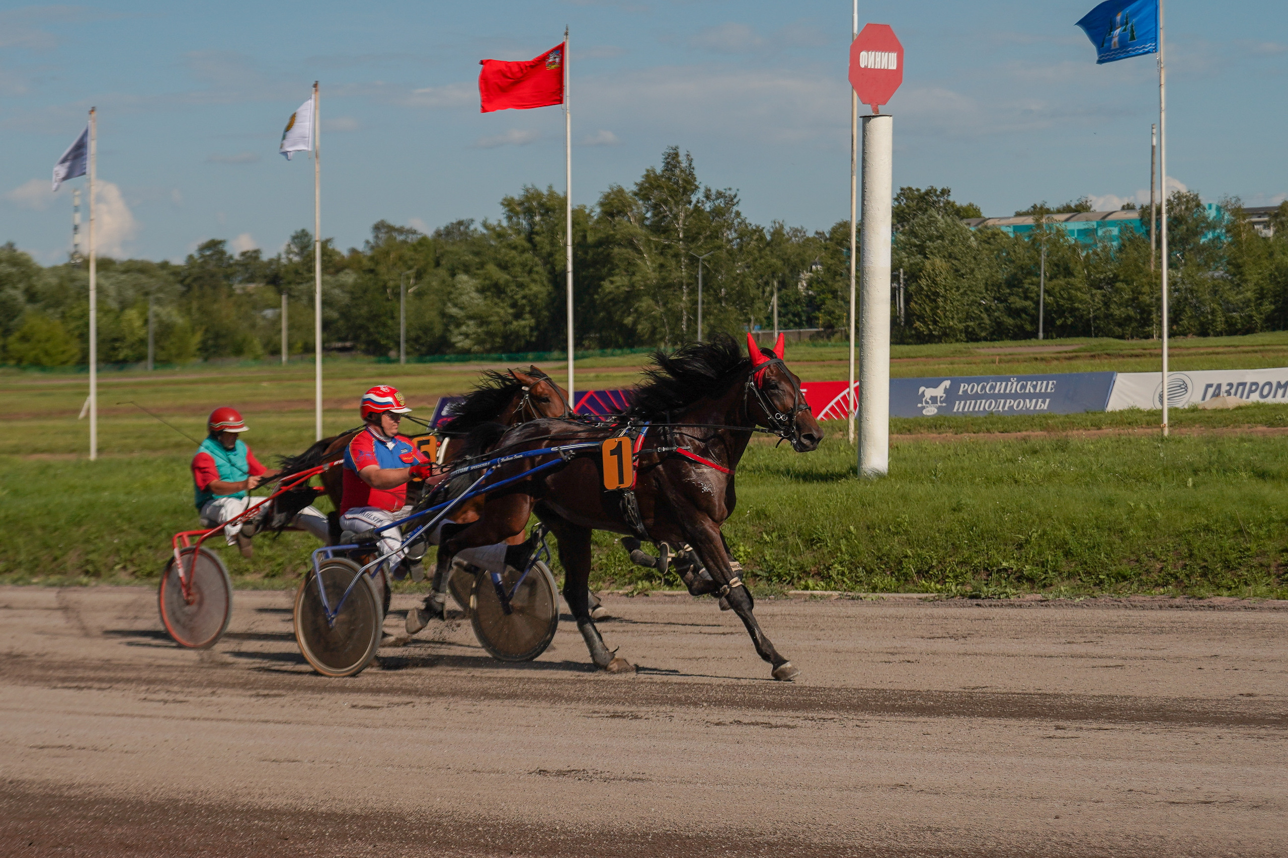 Праздник Орловского коннозаводства на Раменском ипподроме 22 июля 2023. Фотограф-анималист, портретный фотограф в Чебоксарах Мария Садыкова