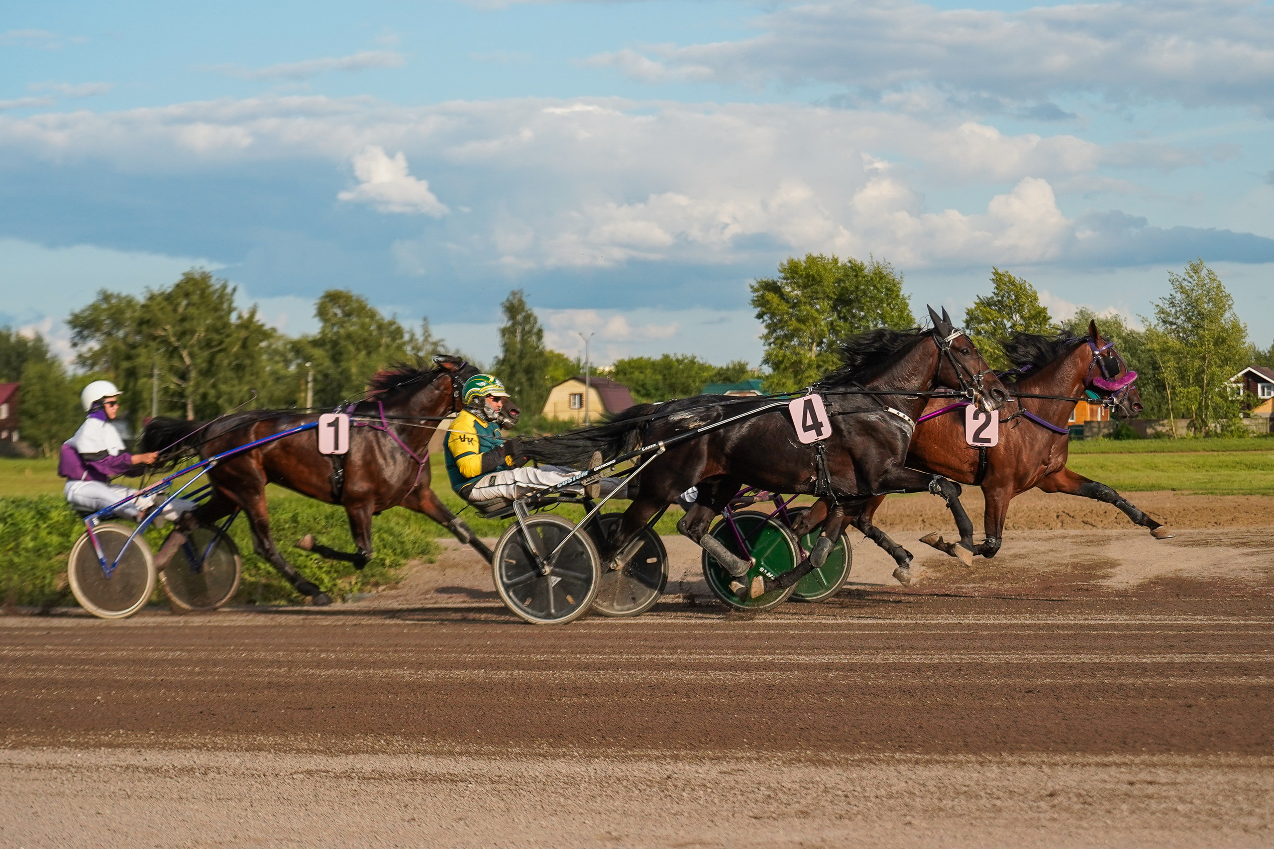 Праздник Орловского коннозаводства на Раменском ипподроме 22 июля 2023. Фотограф-анималист, портретный фотограф в Чебоксарах Мария Садыкова
