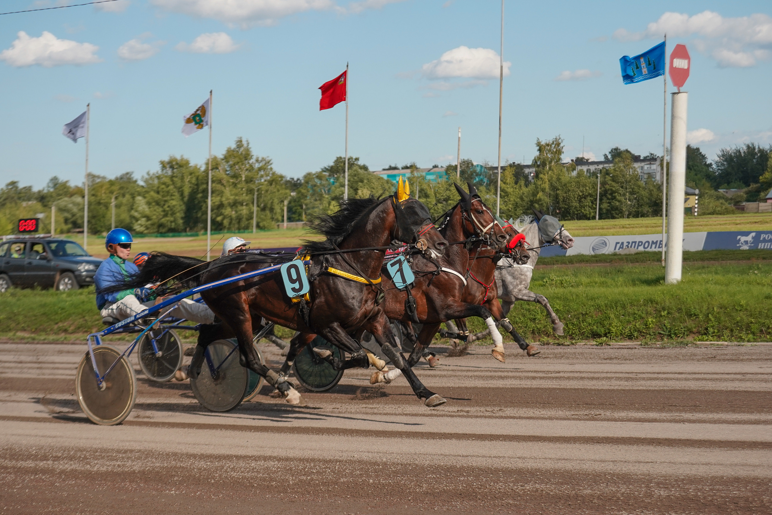Праздник Орловского коннозаводства на Раменском ипподроме 22 июля 2023. Фотограф-анималист, портретный фотограф в Чебоксарах Мария Садыкова