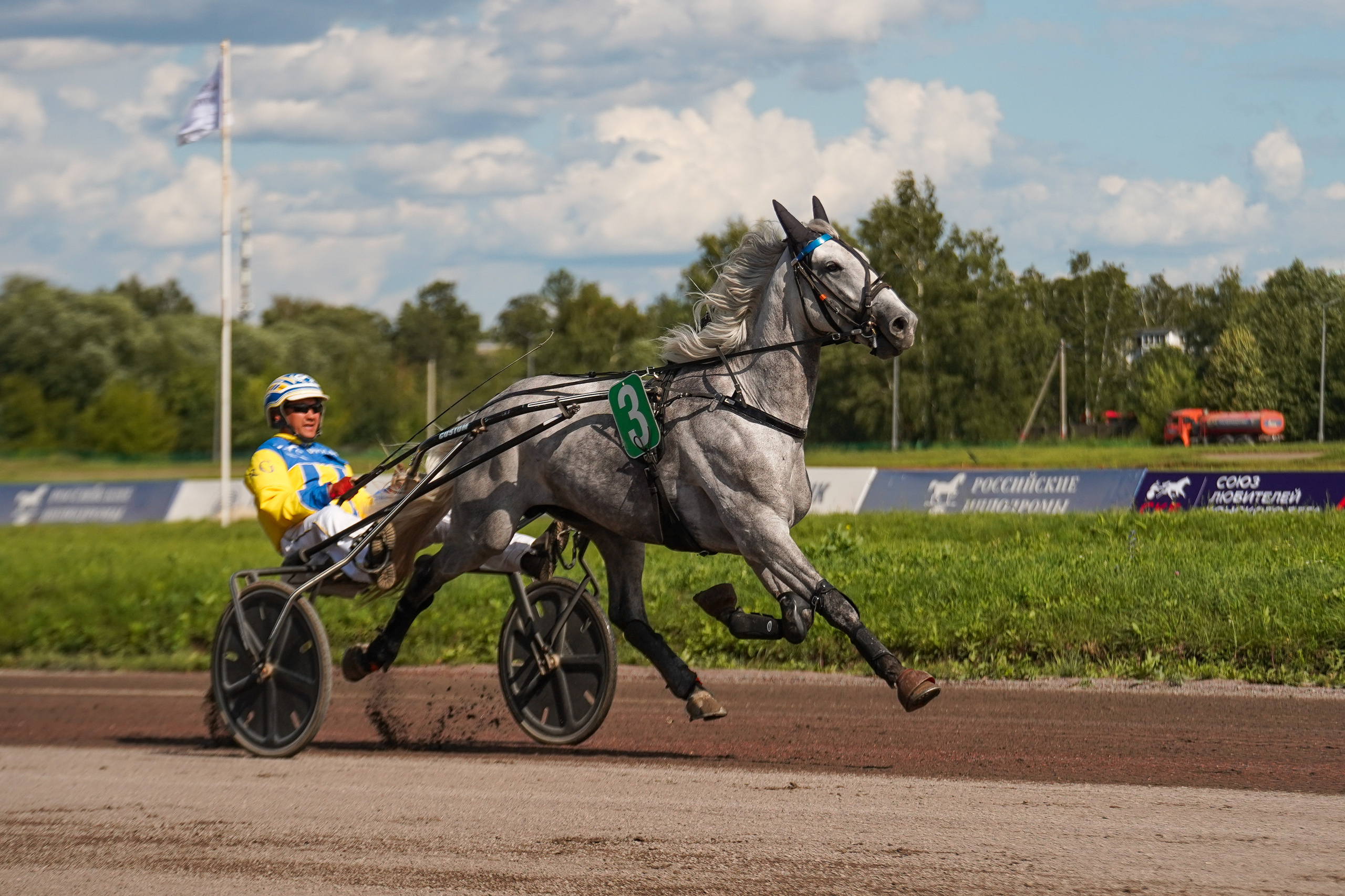 Праздник Орловского коннозаводства на Раменском ипподроме 22 июля 2023. Фотограф-анималист, портретный фотограф в Чебоксарах Мария Садыкова