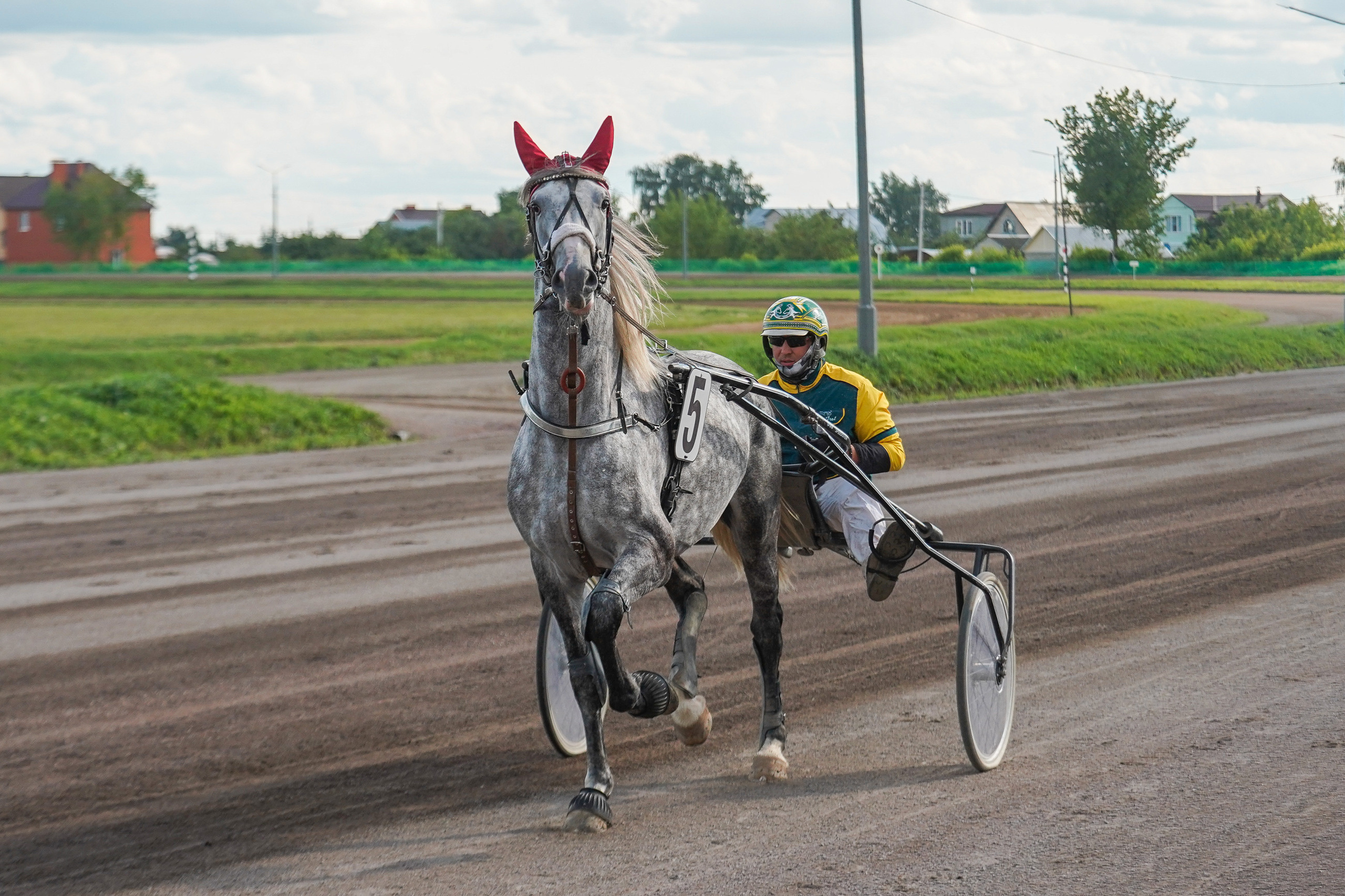 Праздник Орловского коннозаводства на Раменском ипподроме 22 июля 2023. Фотограф-анималист, портретный фотограф в Чебоксарах Мария Садыкова