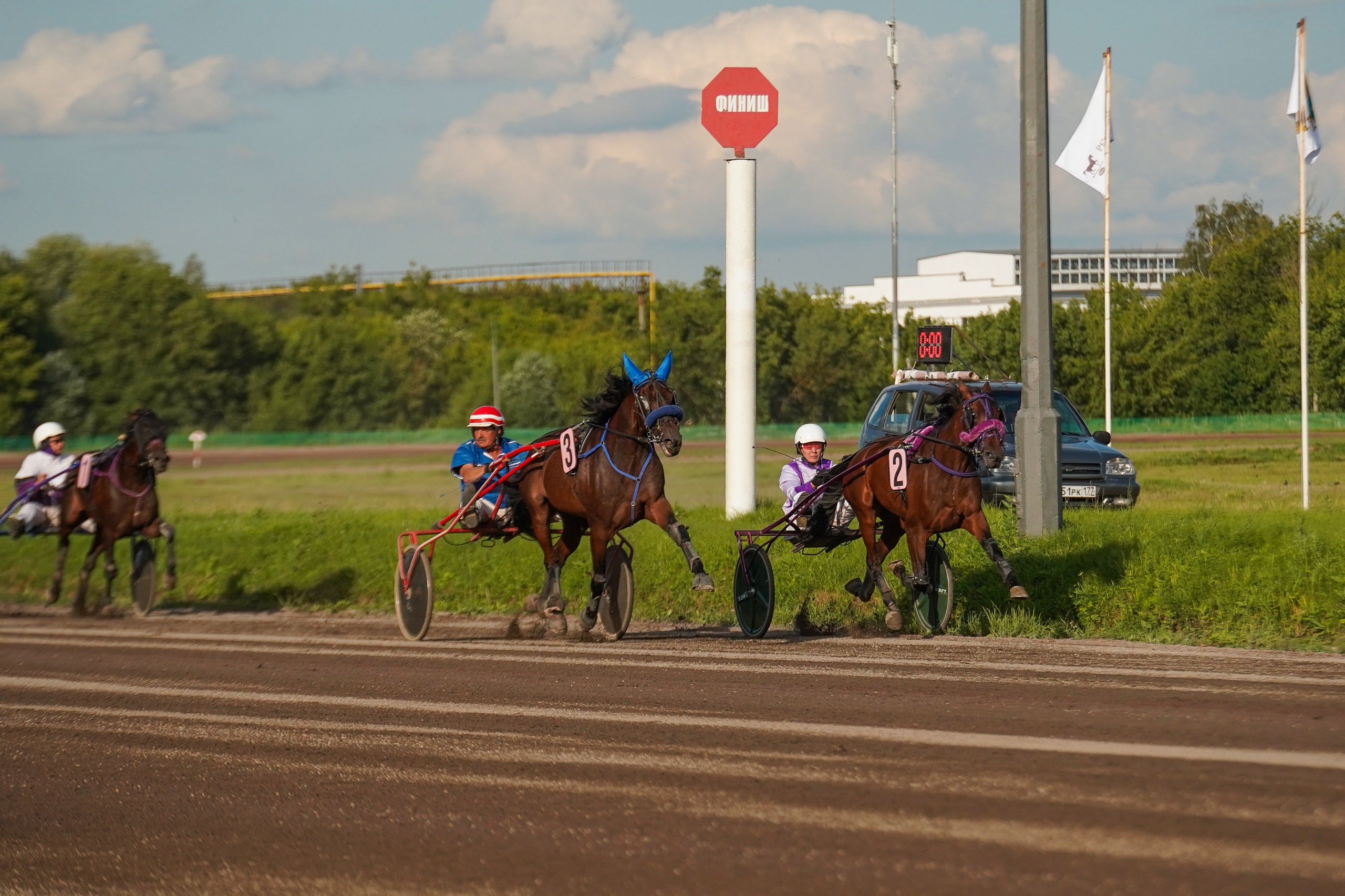 Праздник Орловского коннозаводства на Раменском ипподроме 22 июля 2023. Фотограф-анималист, портретный фотограф в Чебоксарах Мария Садыкова