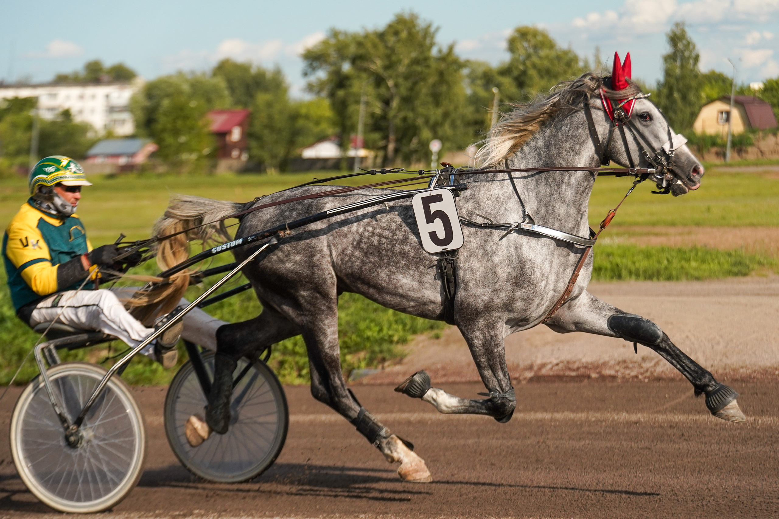 Праздник Орловского коннозаводства на Раменском ипподроме 22 июля 2023. Фотограф-анималист, портретный фотограф в Чебоксарах Мария Садыкова