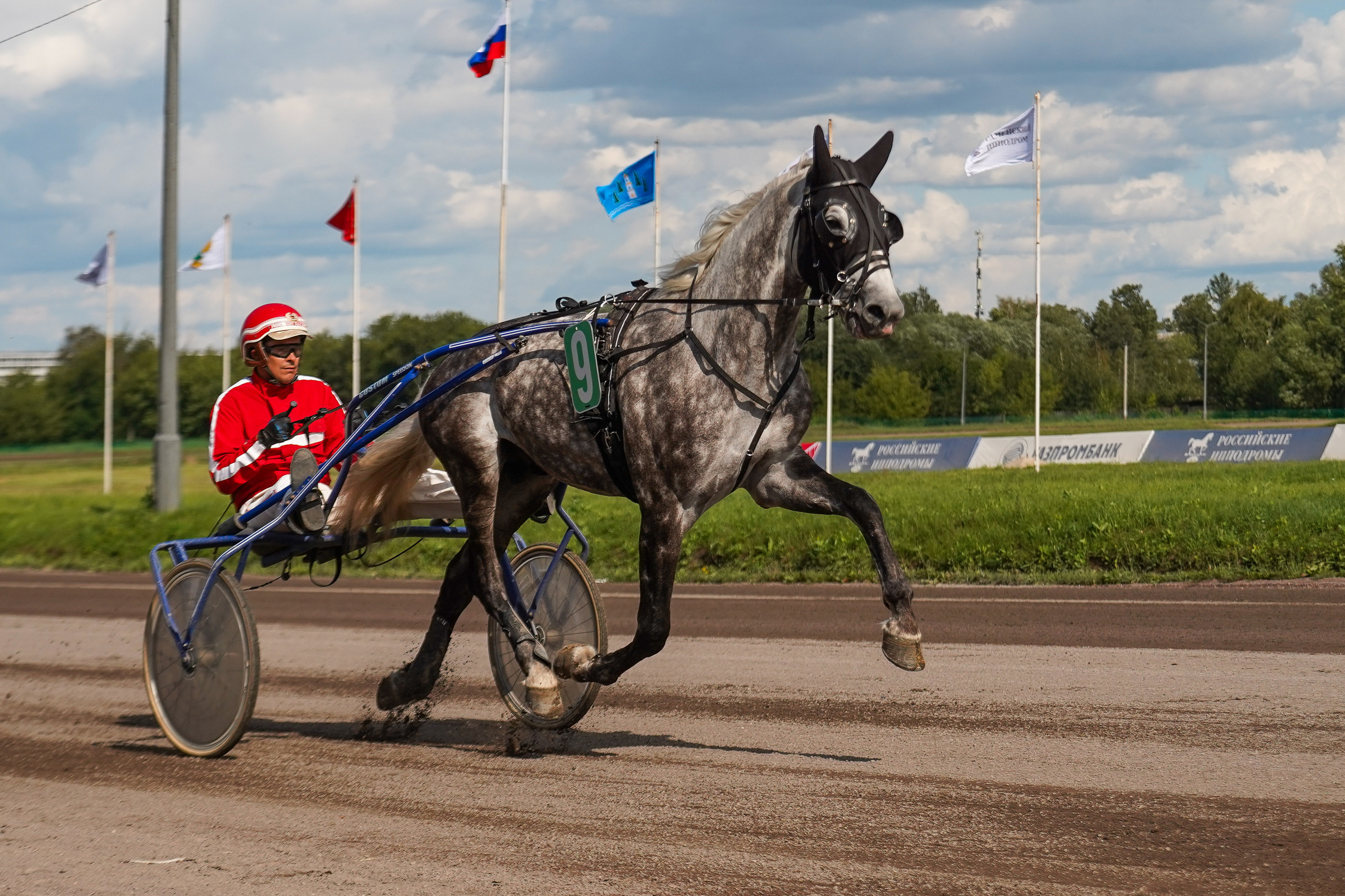 Праздник Орловского коннозаводства на Раменском ипподроме 22 июля 2023. Фотограф-анималист, портретный фотограф в Чебоксарах Мария Садыкова