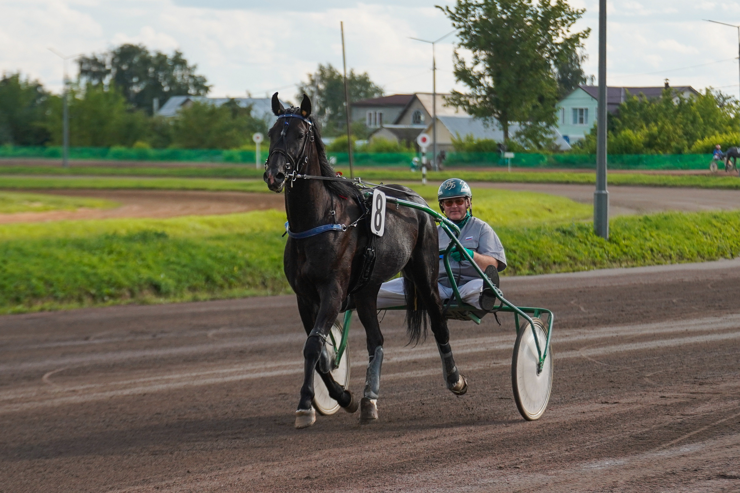 Праздник Орловского коннозаводства на Раменском ипподроме 22 июля 2023. Фотограф-анималист, портретный фотограф в Чебоксарах Мария Садыкова