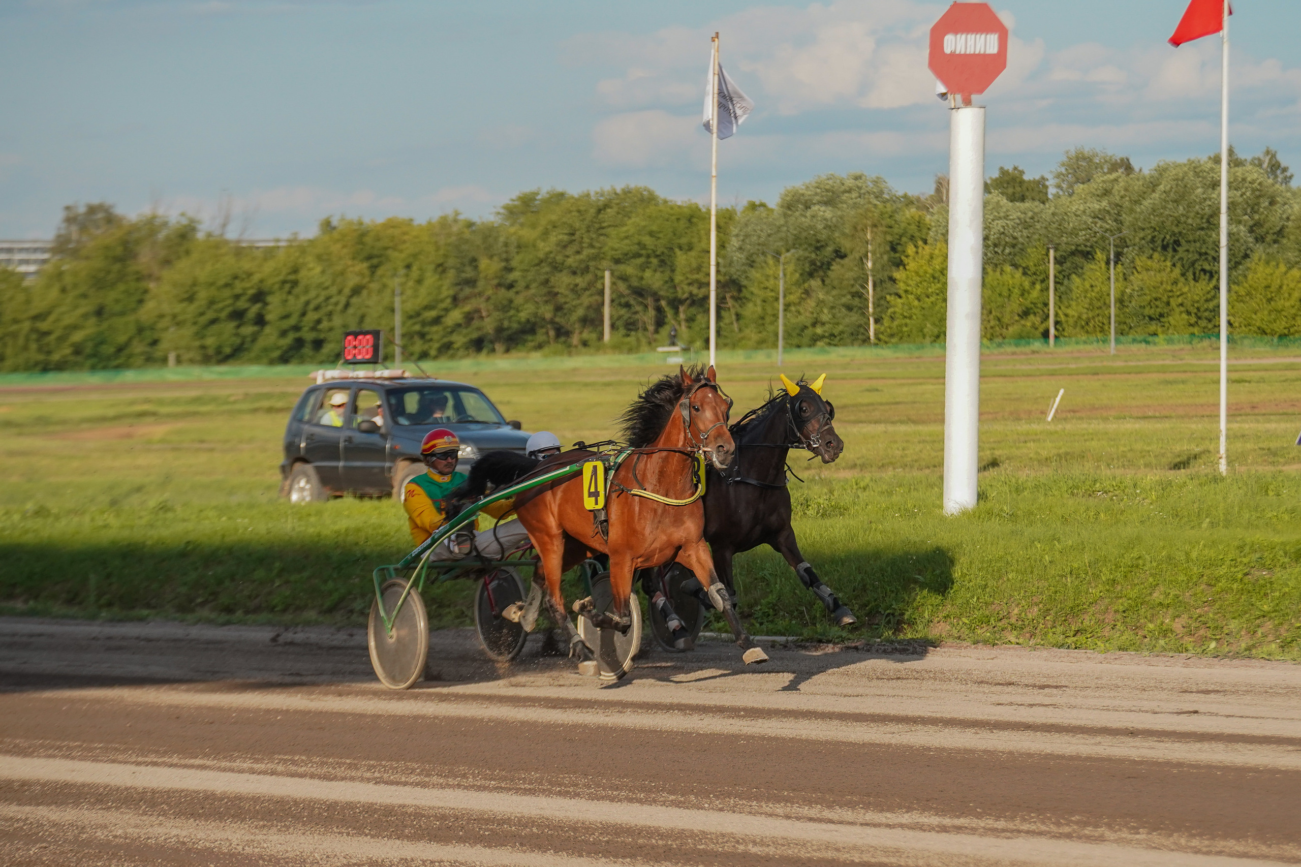 Праздник Орловского коннозаводства на Раменском ипподроме 22 июля 2023. Фотограф-анималист, портретный фотограф в Чебоксарах Мария Садыкова