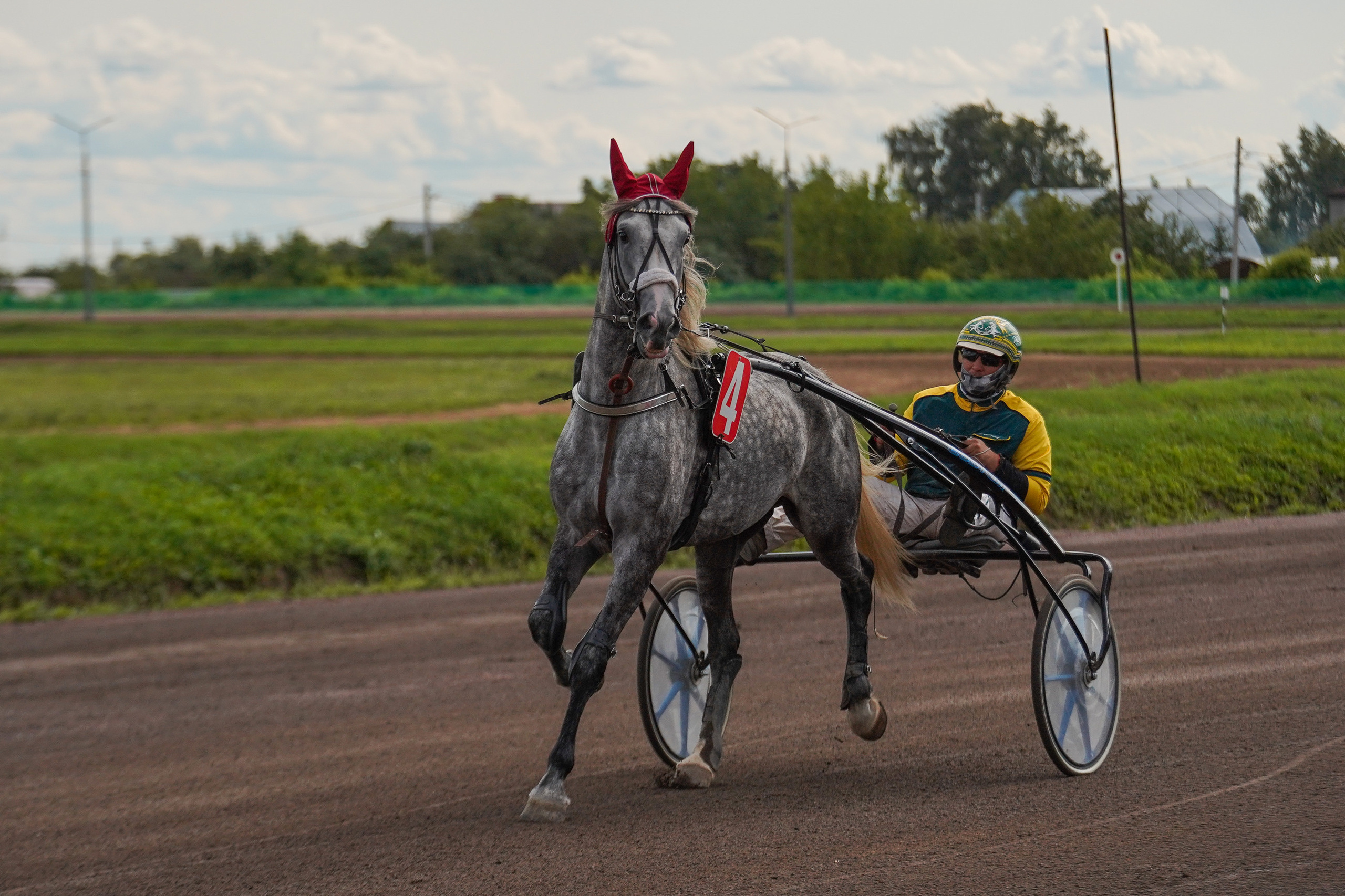 Праздник Орловского коннозаводства на Раменском ипподроме 22 июля 2023. Фотограф-анималист, портретный фотограф в Чебоксарах Мария Садыкова