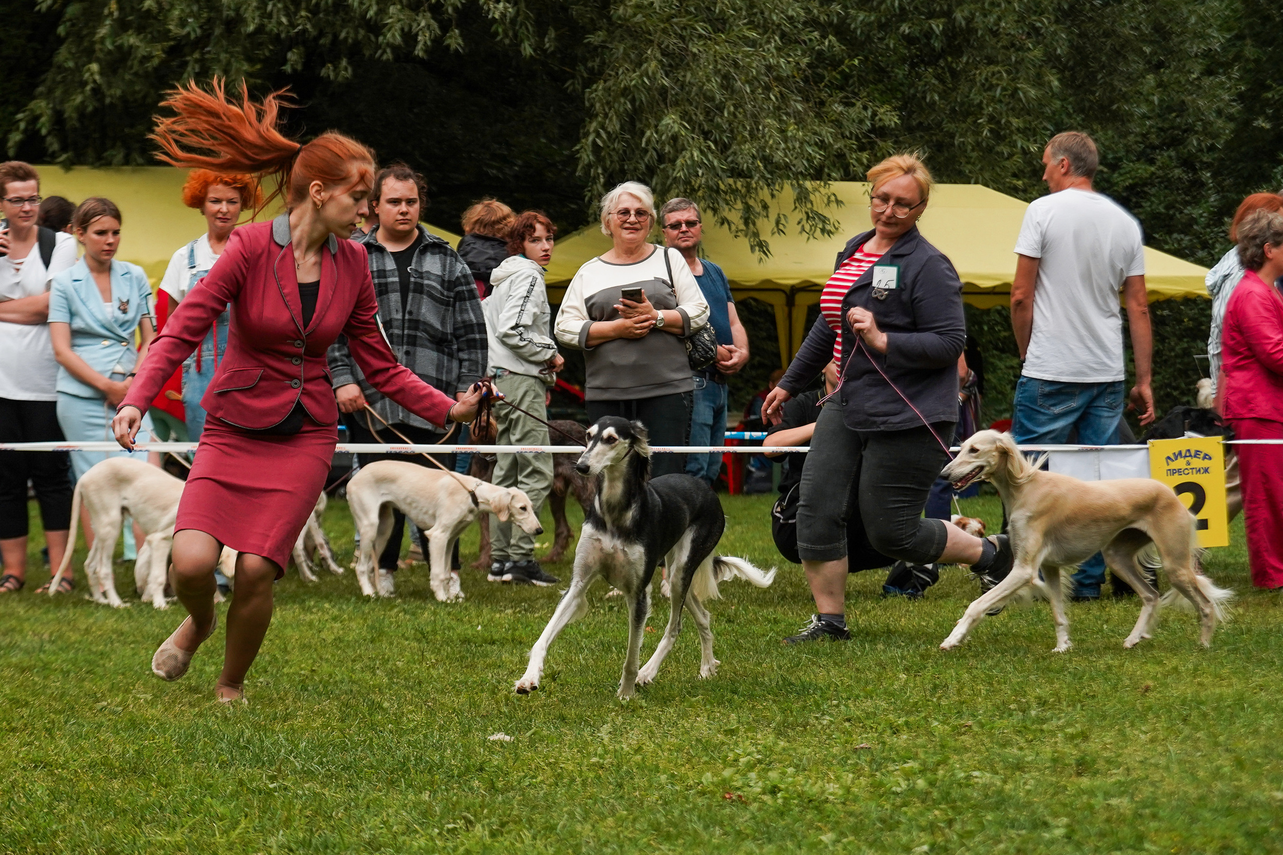 Выставки «СТОЛИЦА» и  «Лидер и Престиж» 23.07.2023. Фотограф-анималист, портретный фотограф в Чебоксарах Мария Садыкова
