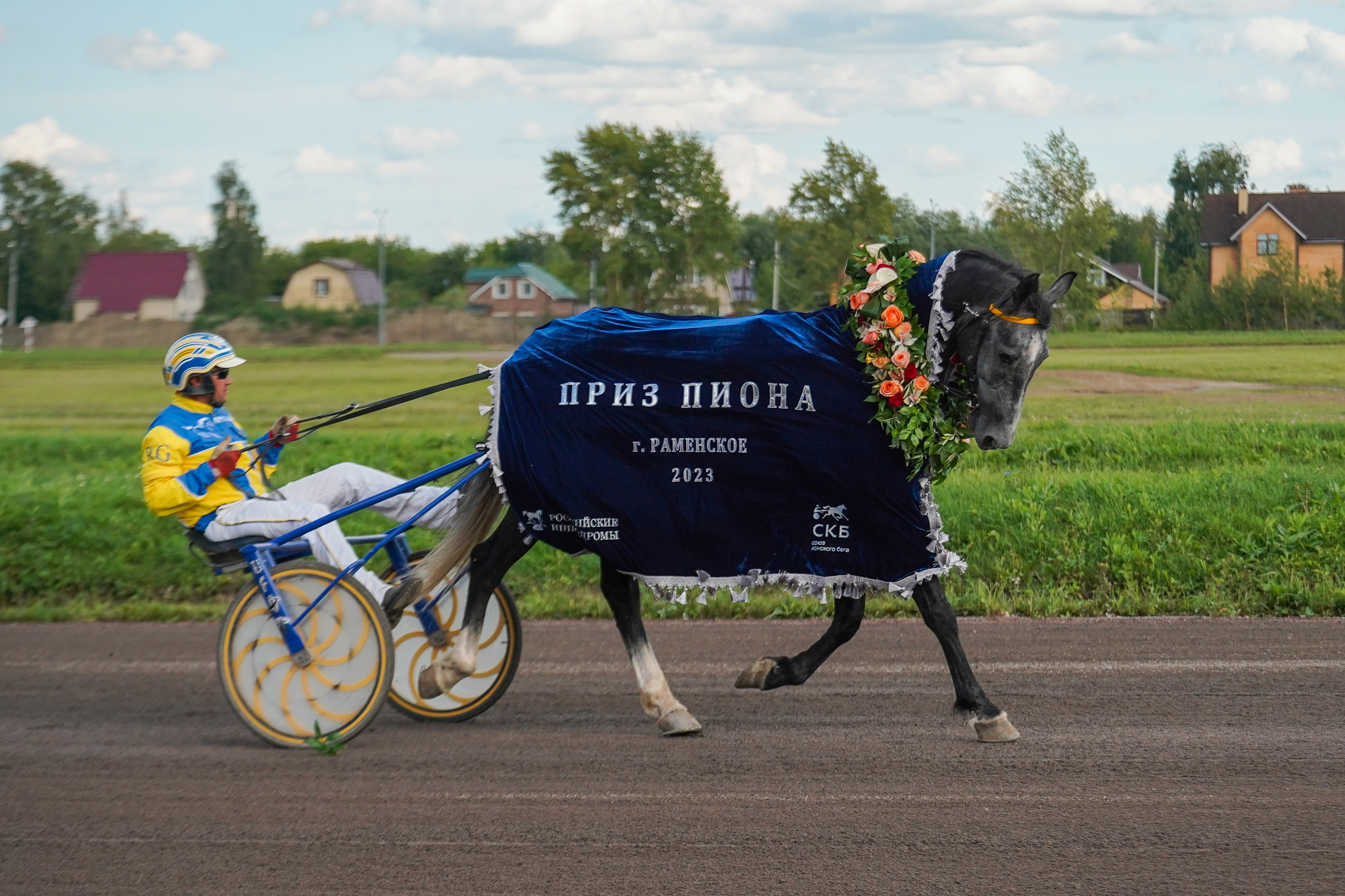 Праздник Орловского коннозаводства на Раменском ипподроме 22 июля 2023. Фотограф-анималист, портретный фотограф в Чебоксарах Мария Садыкова