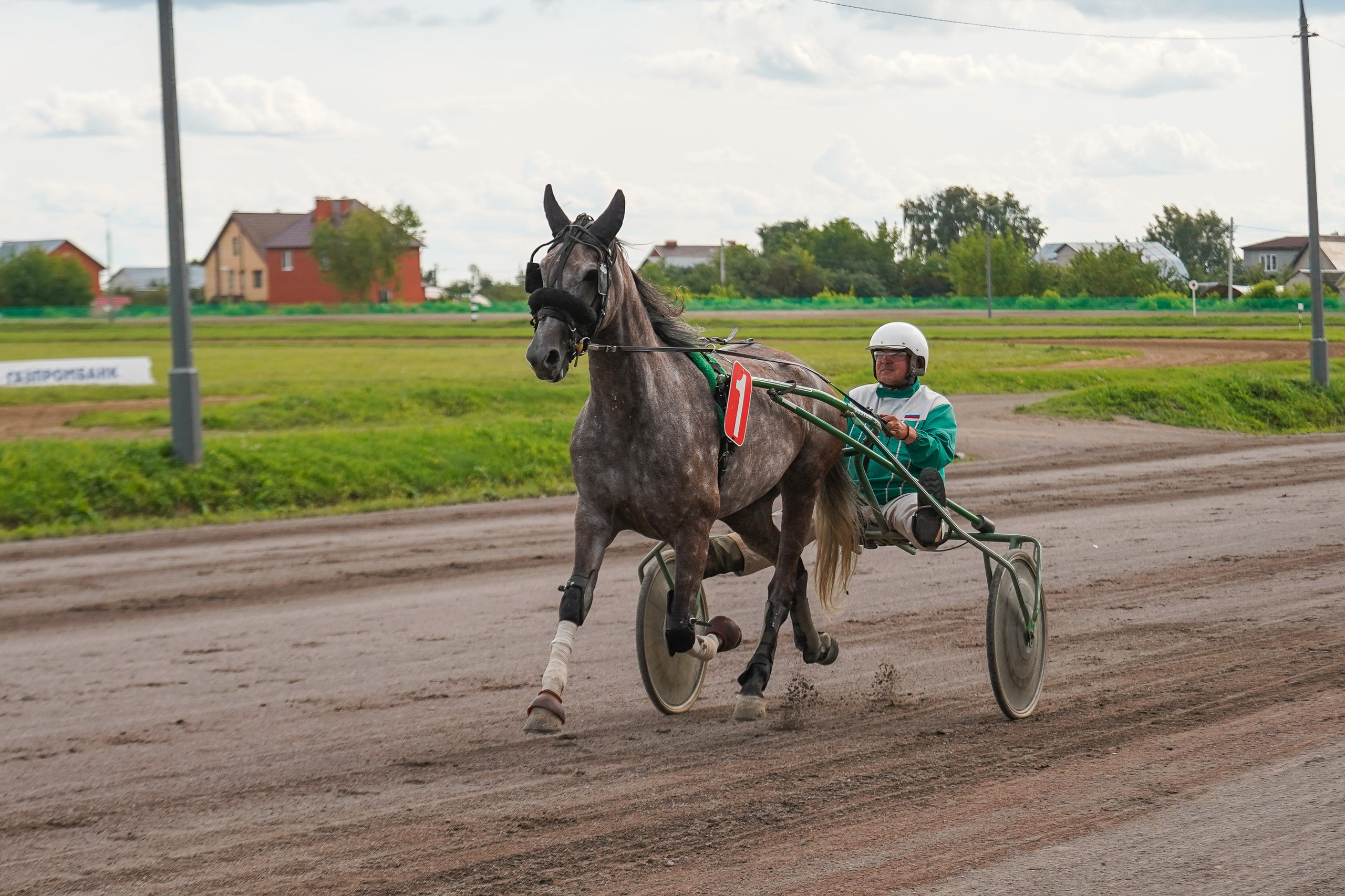 Праздник Орловского коннозаводства на Раменском ипподроме 22 июля 2023. Фотограф-анималист, портретный фотограф в Чебоксарах Мария Садыкова