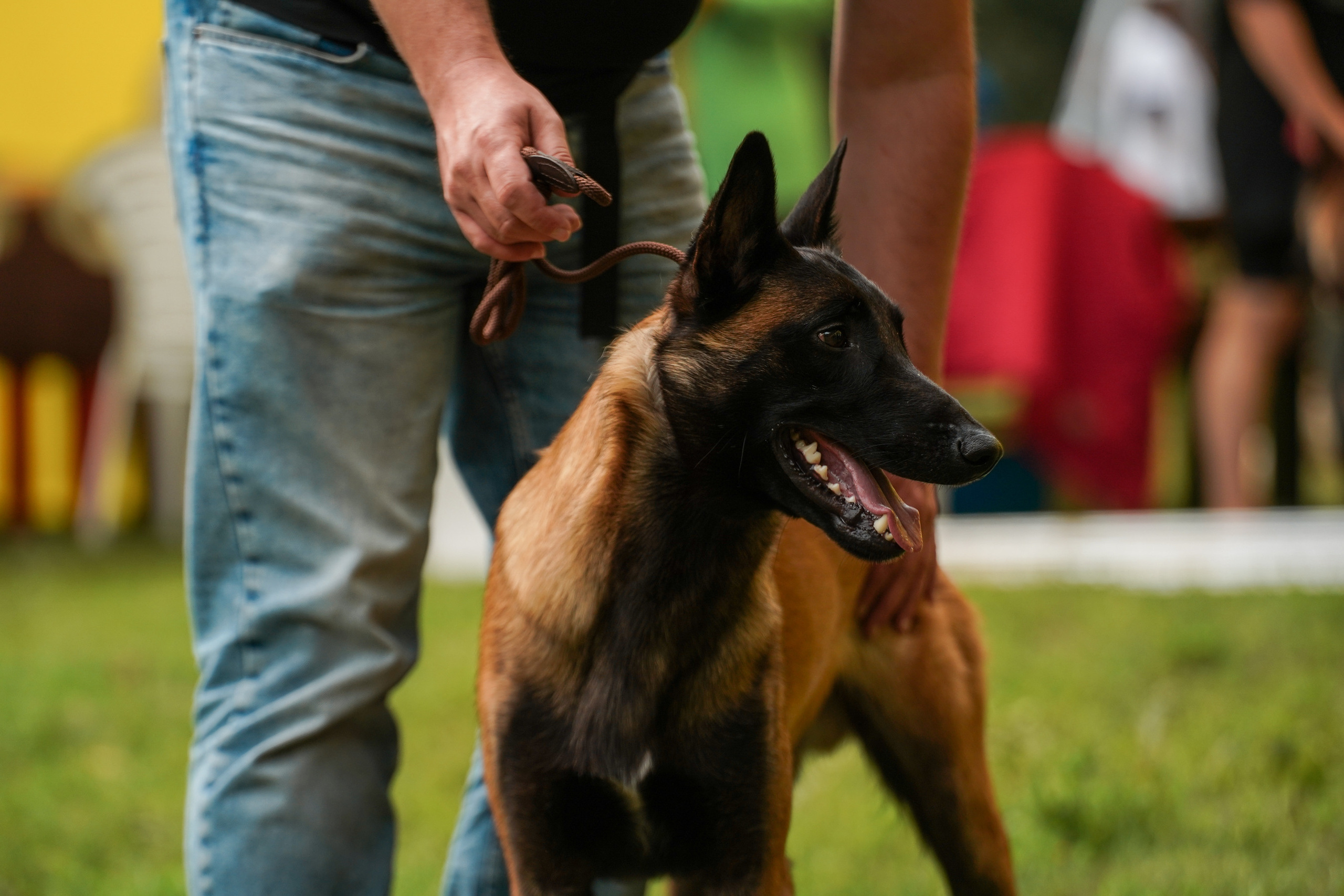Выставки «СТОЛИЦА» и  «Лидер и Престиж» 23.07.2023. Фотограф-анималист, портретный фотограф в Чебоксарах Мария Садыкова