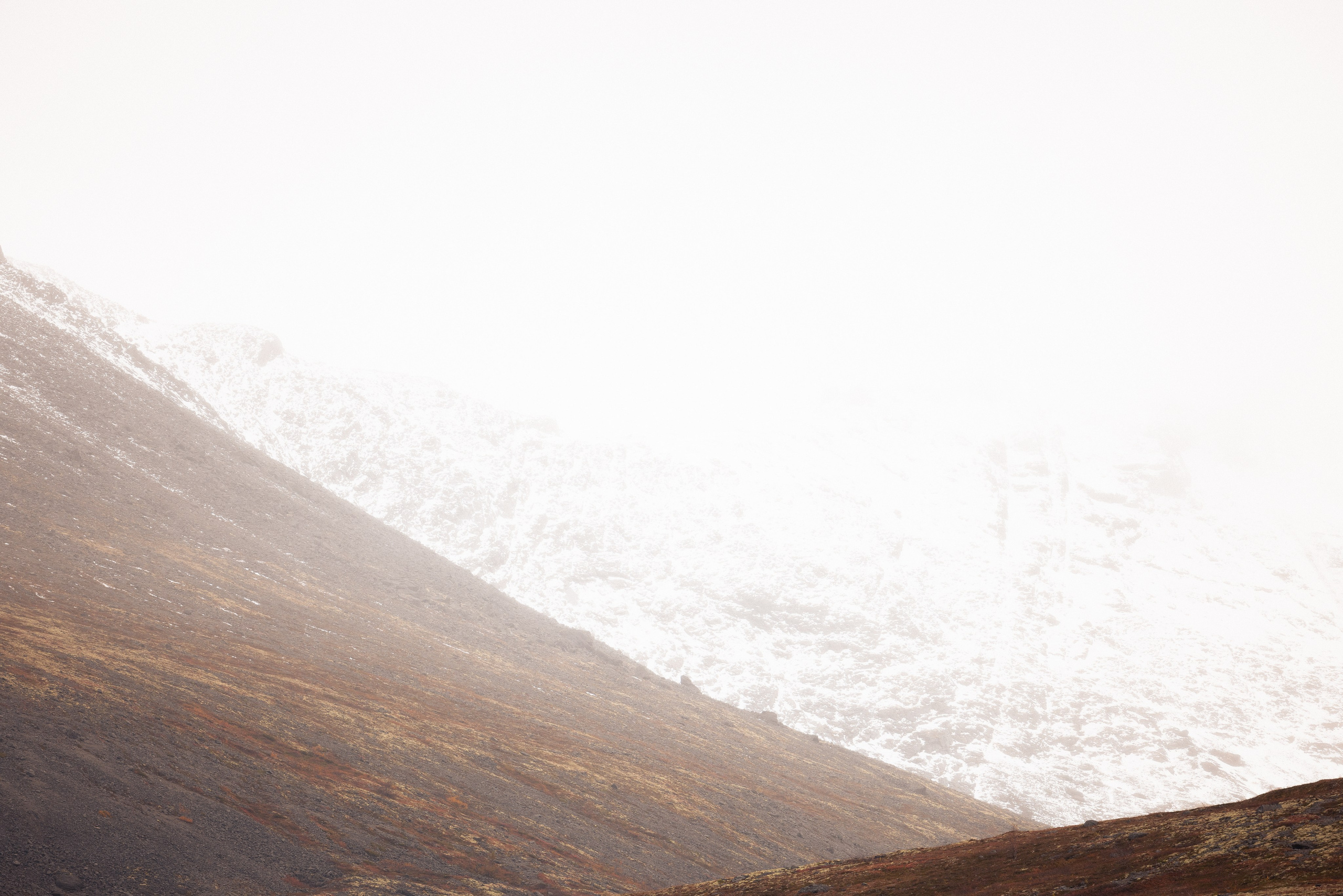 Кольский. Фотограф и видеограф анималист Аганина Дарья