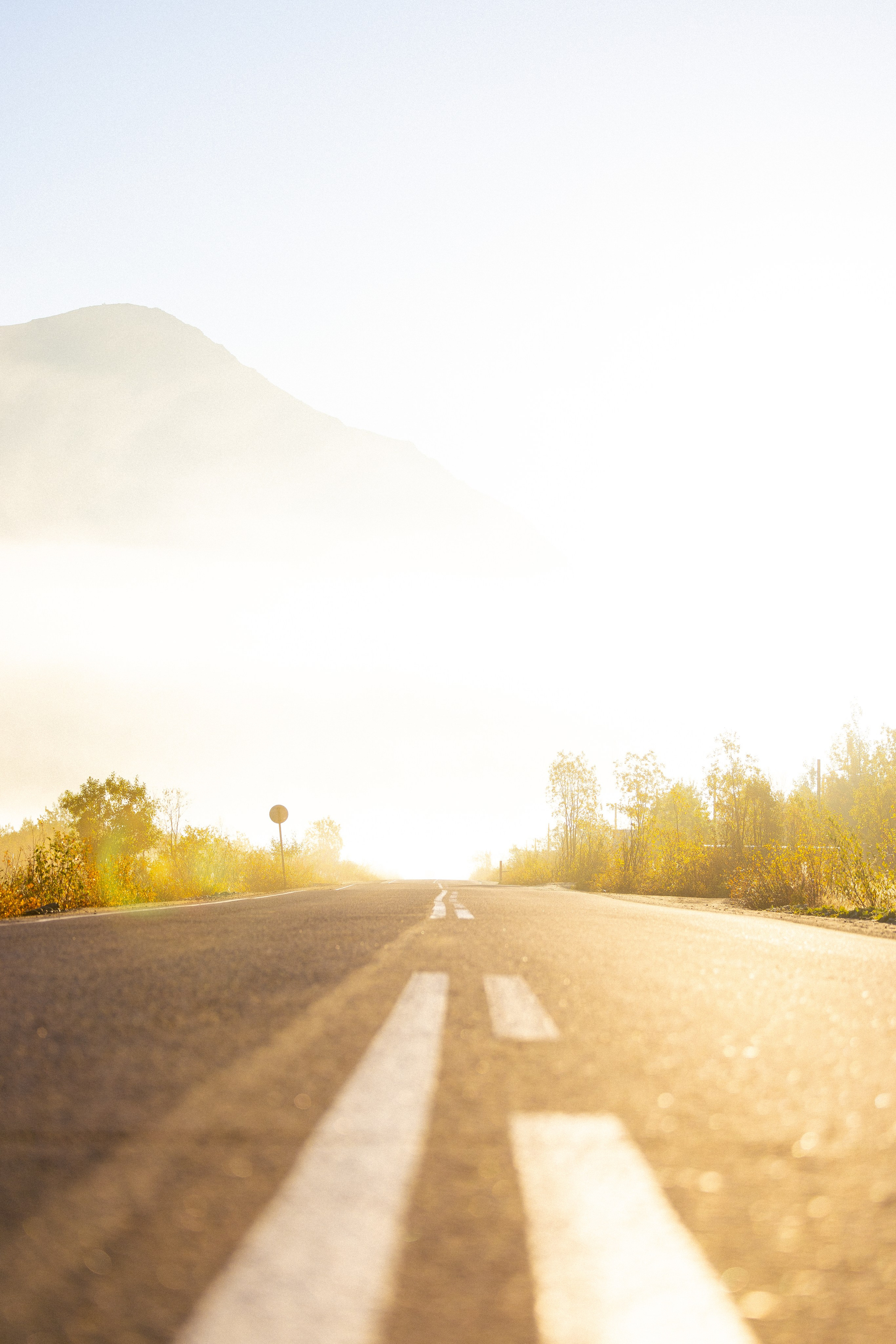 Кольский. Фотограф и видеограф анималист Аганина Дарья