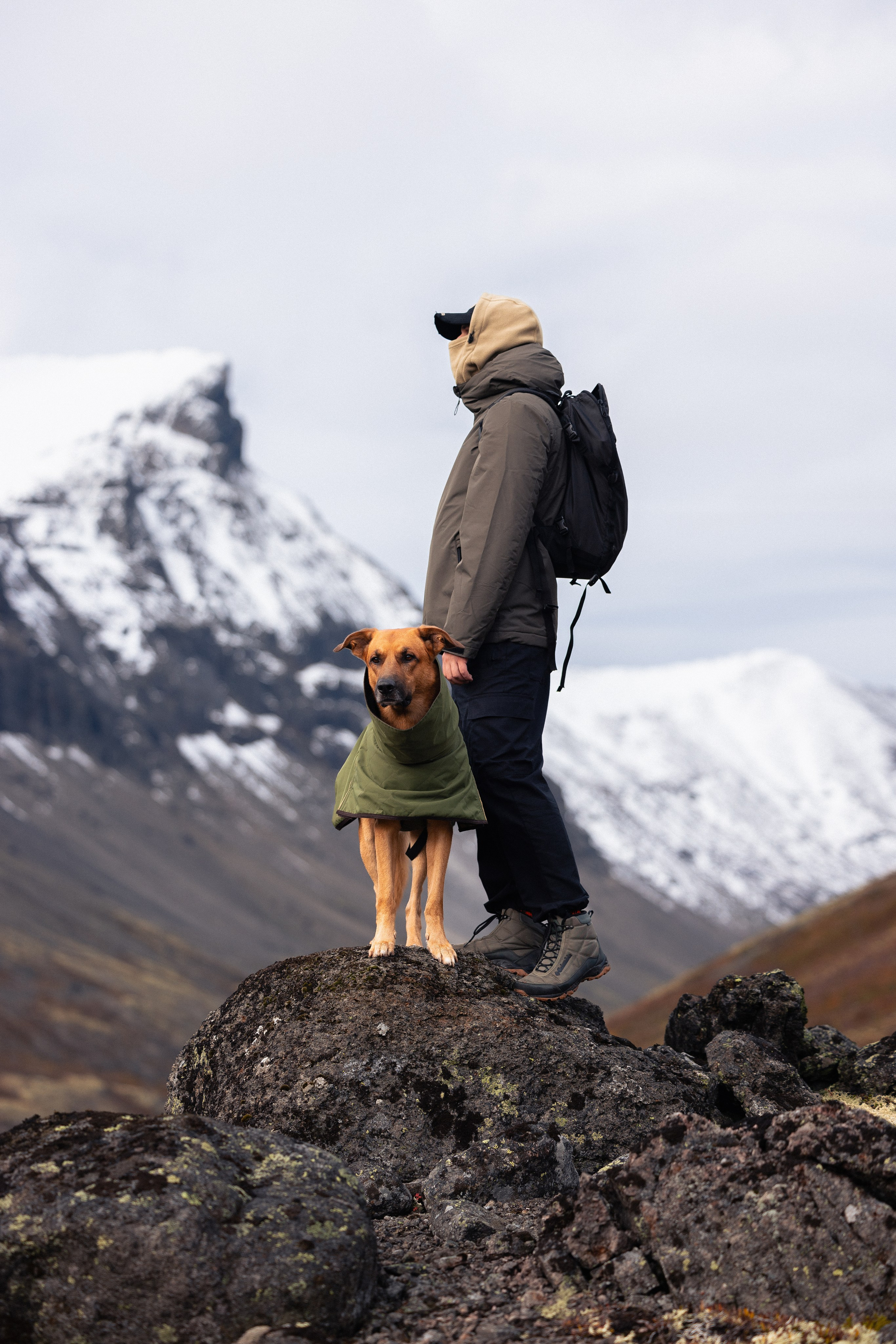 Кольский. Фотограф и видеограф анималист Аганина Дарья