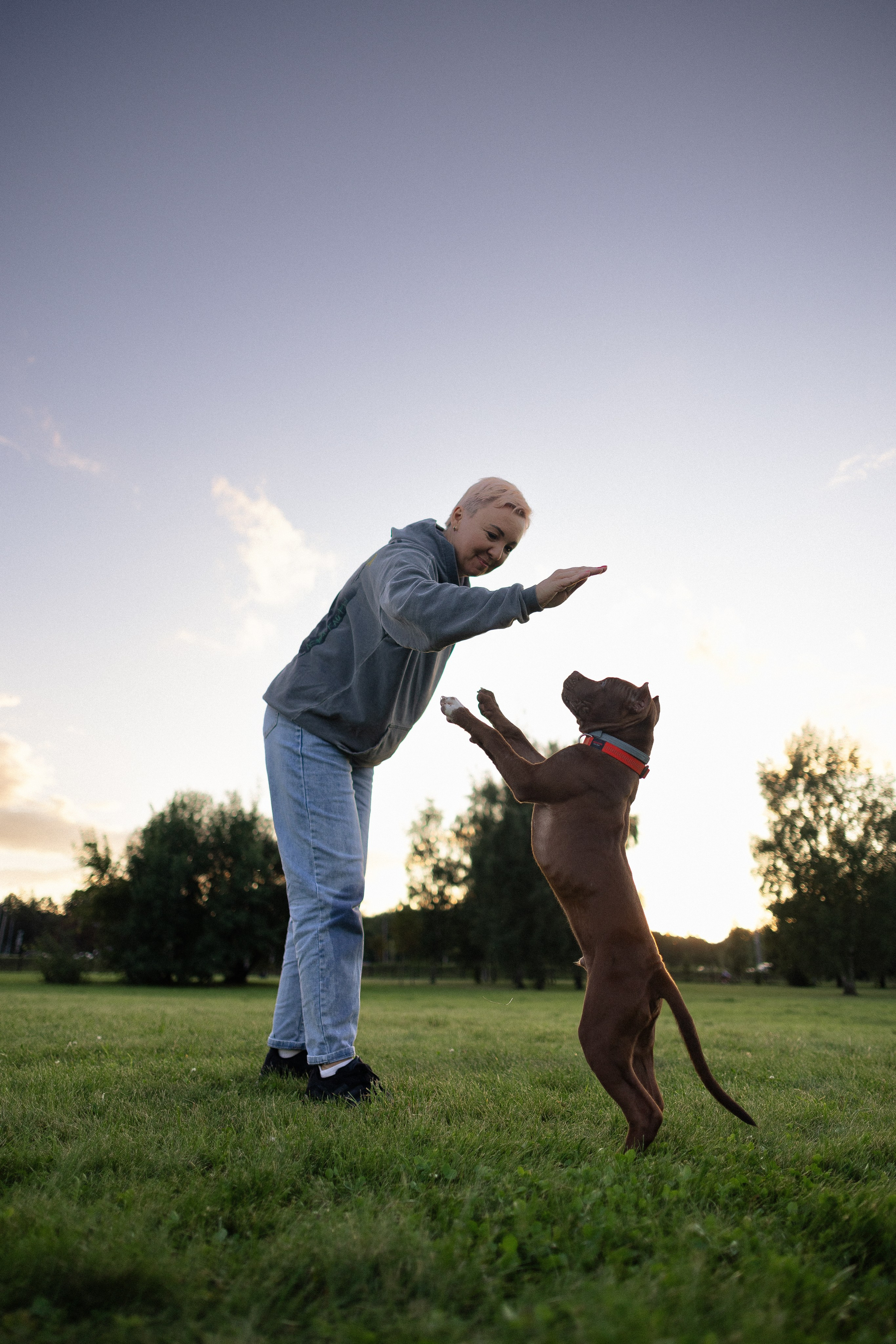 Елена и Хан. Фотограф и видеограф анималист Аганина Дарья