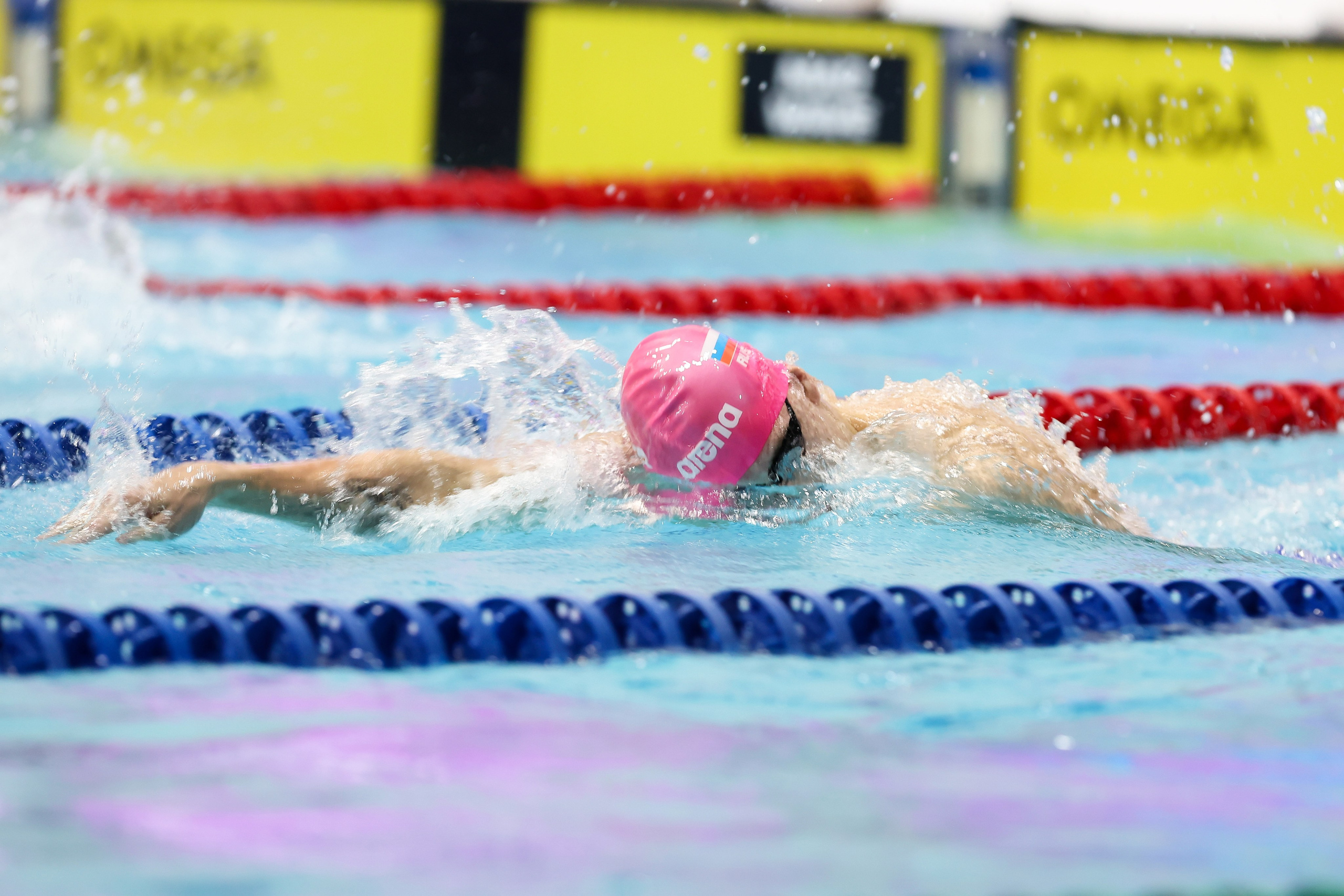 Чемпионат России по плаванию 25 м 20-25.11.2023. Спортивный и репортажный фотограф Антон Тереханов