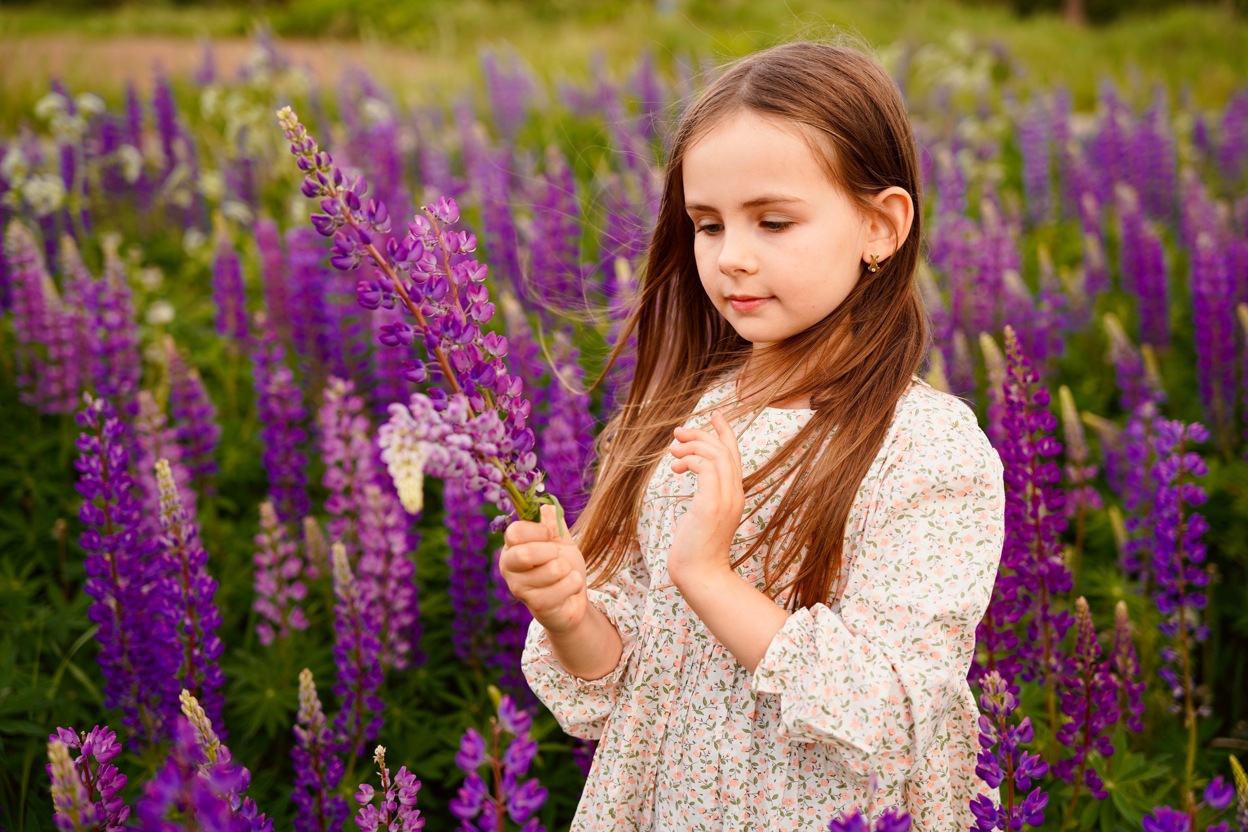Когда цветут люпины. Семейный и детский фотограф Александра Гвоздикова