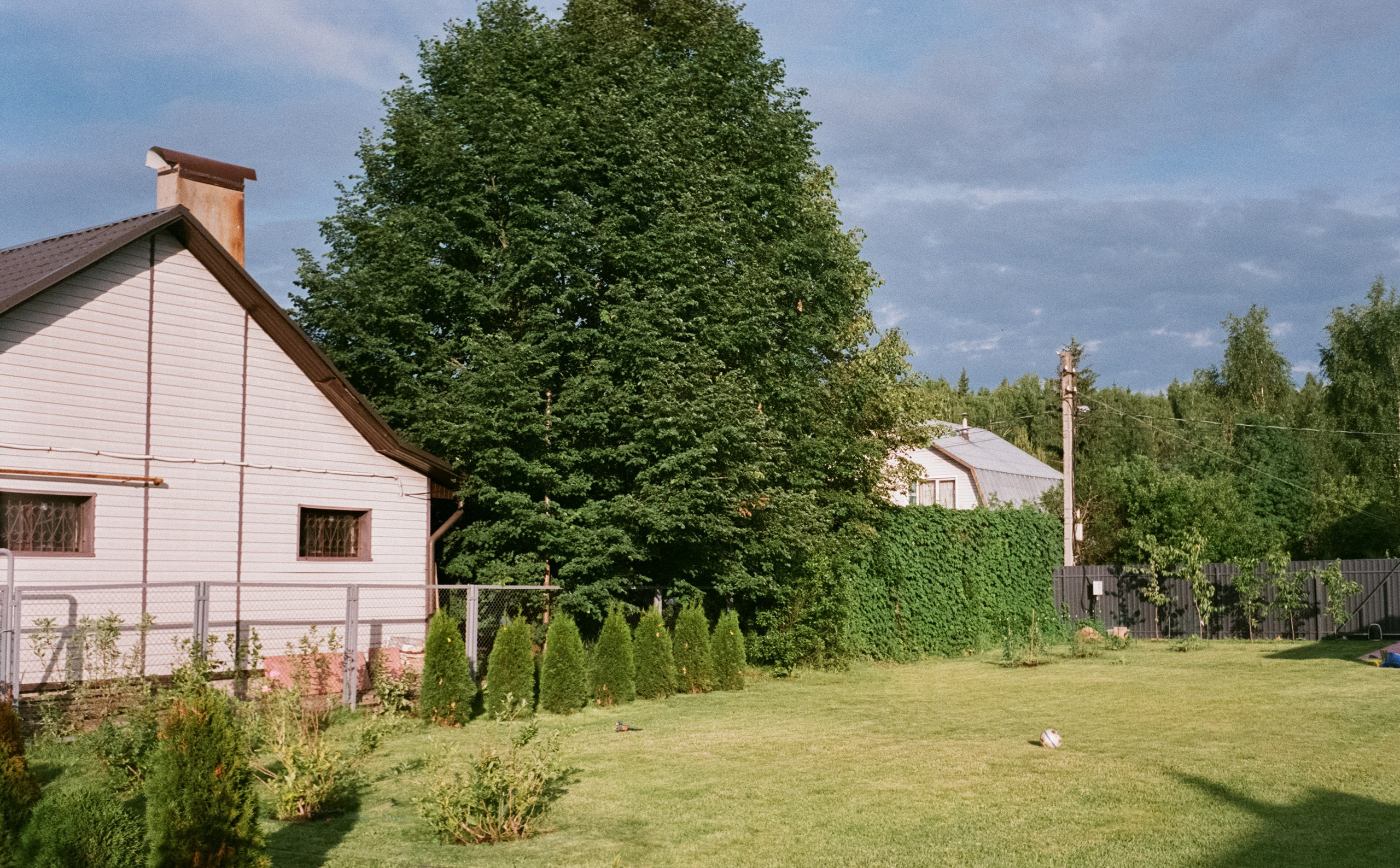 Minox 35 GT (2) / Fujicolor Superia X-tra 400 (просрочка) / июнь 2024